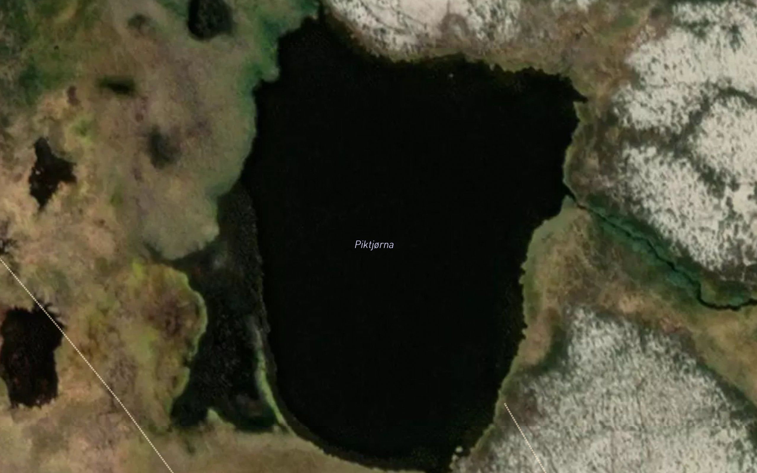 Piktjorna