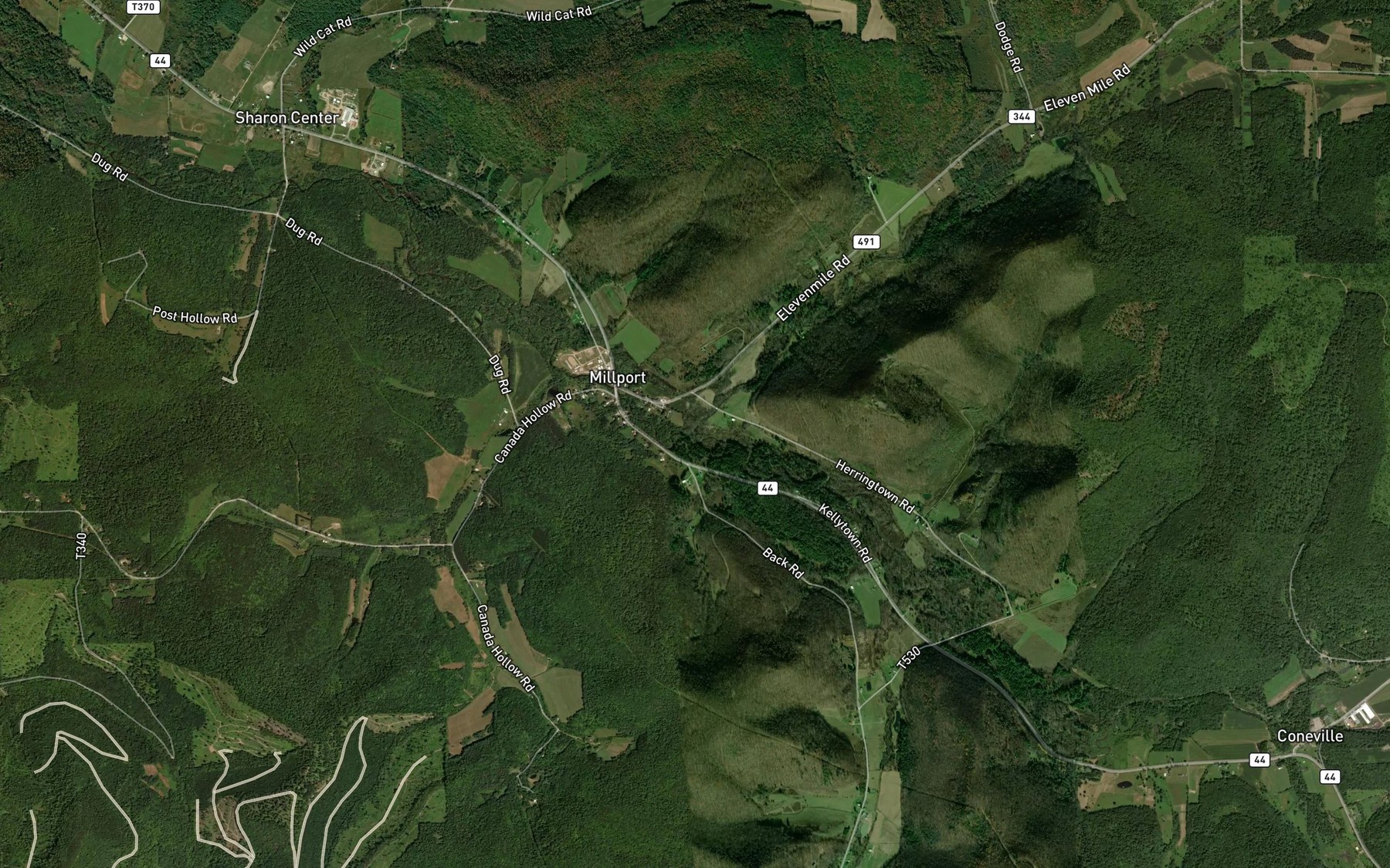 Satellite map of the Elevenmile Creek