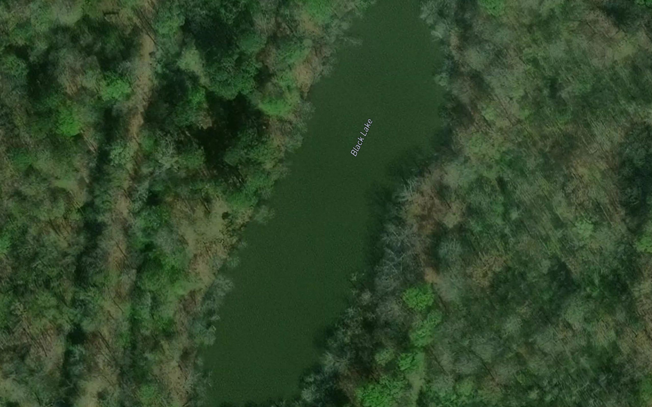 Black Lake