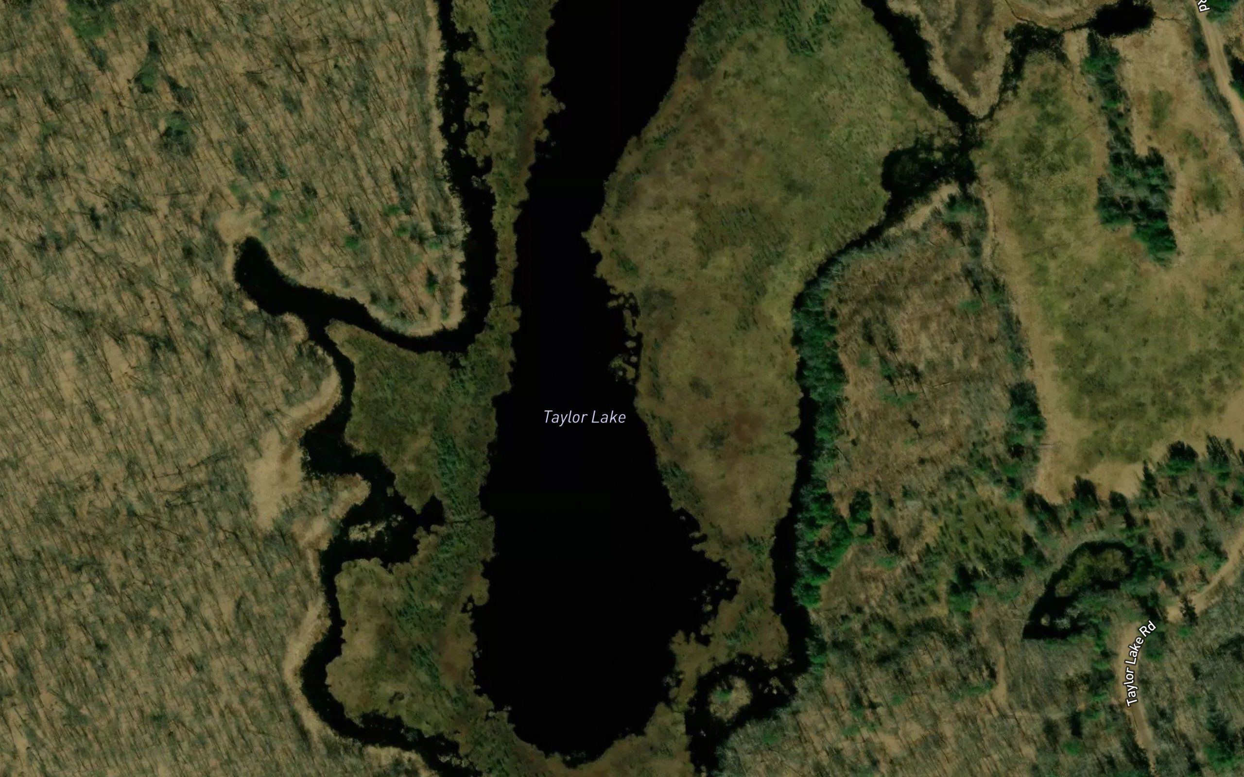 Taylor Lake