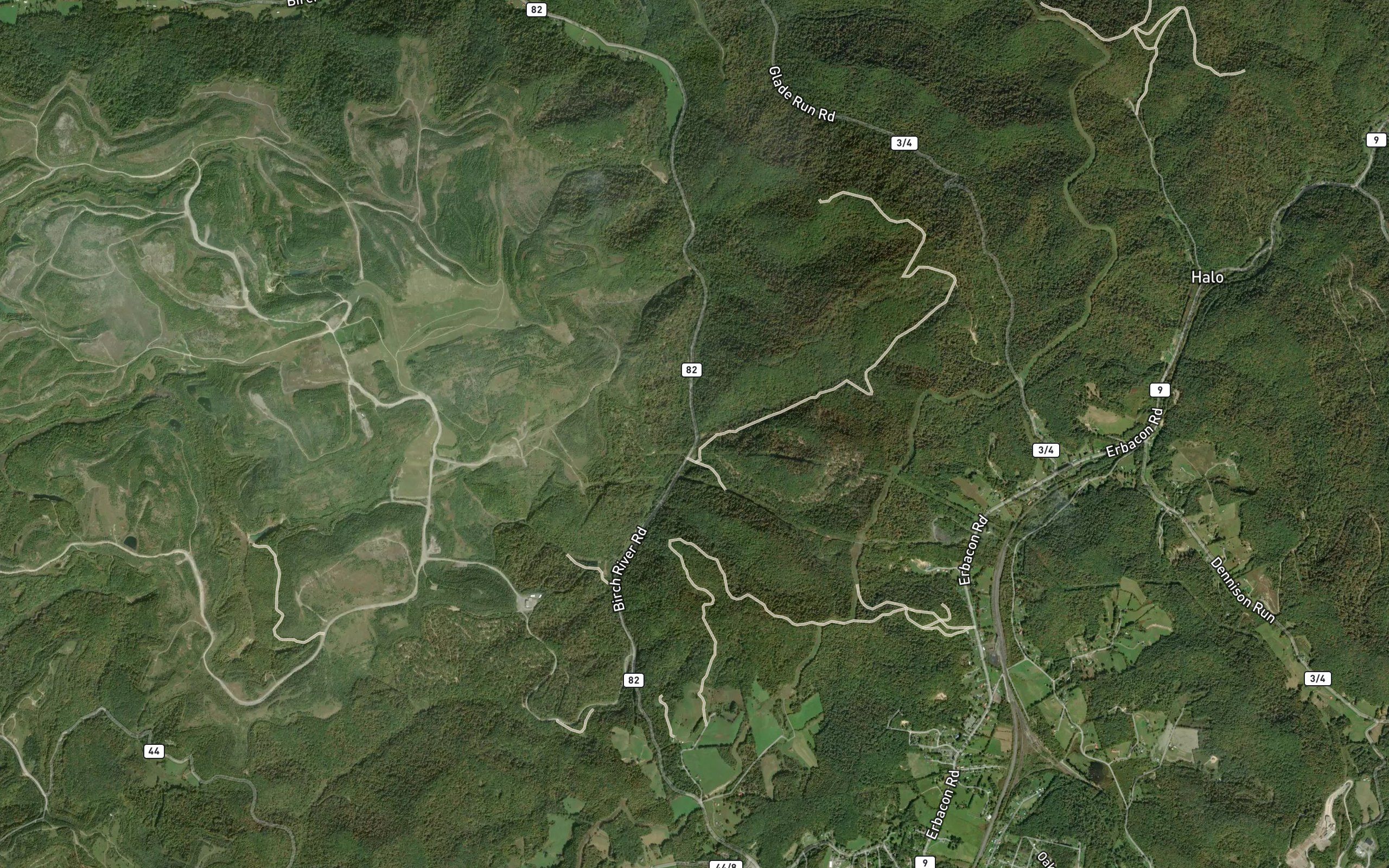 Johnson Branch