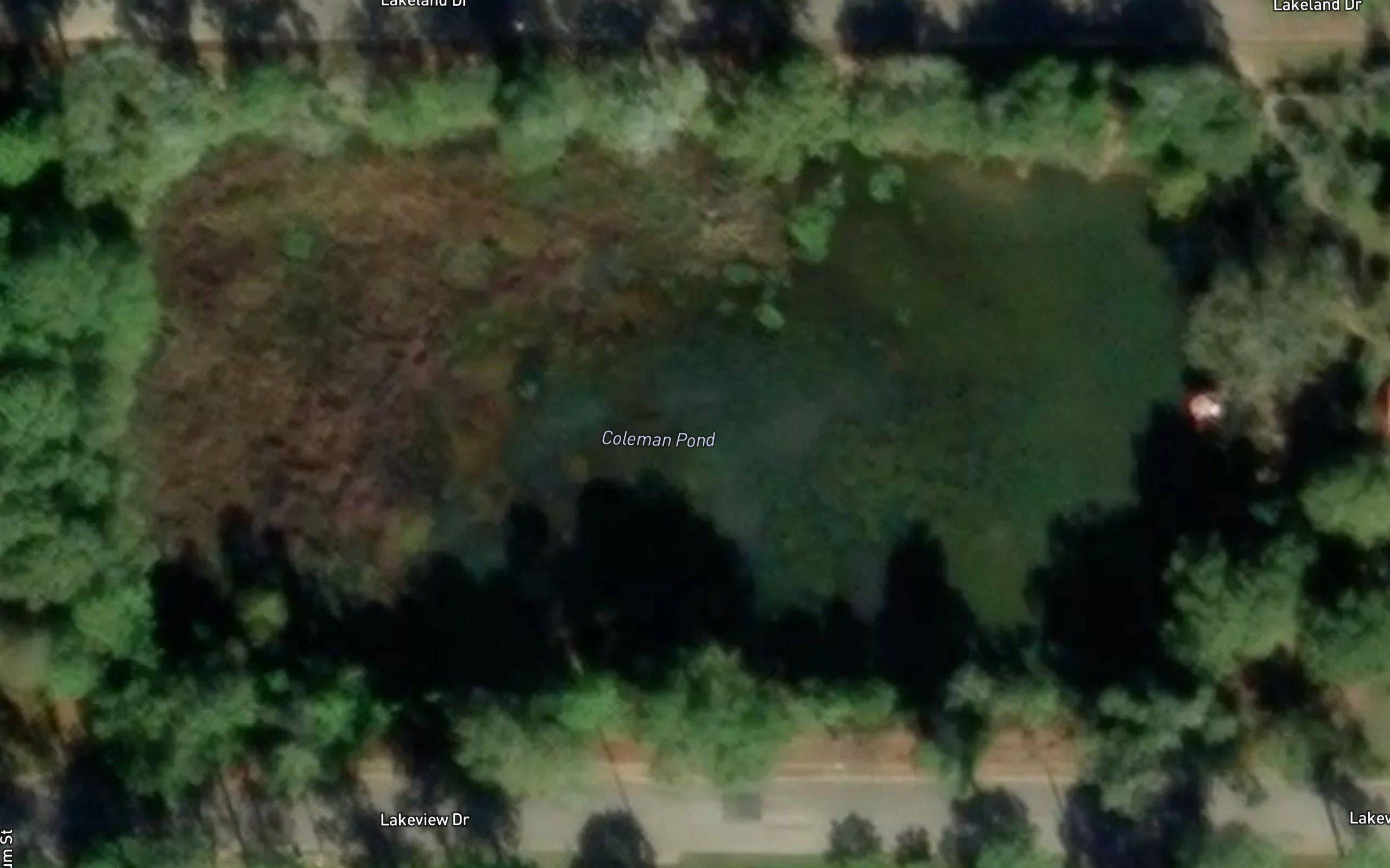 Coleman Pond