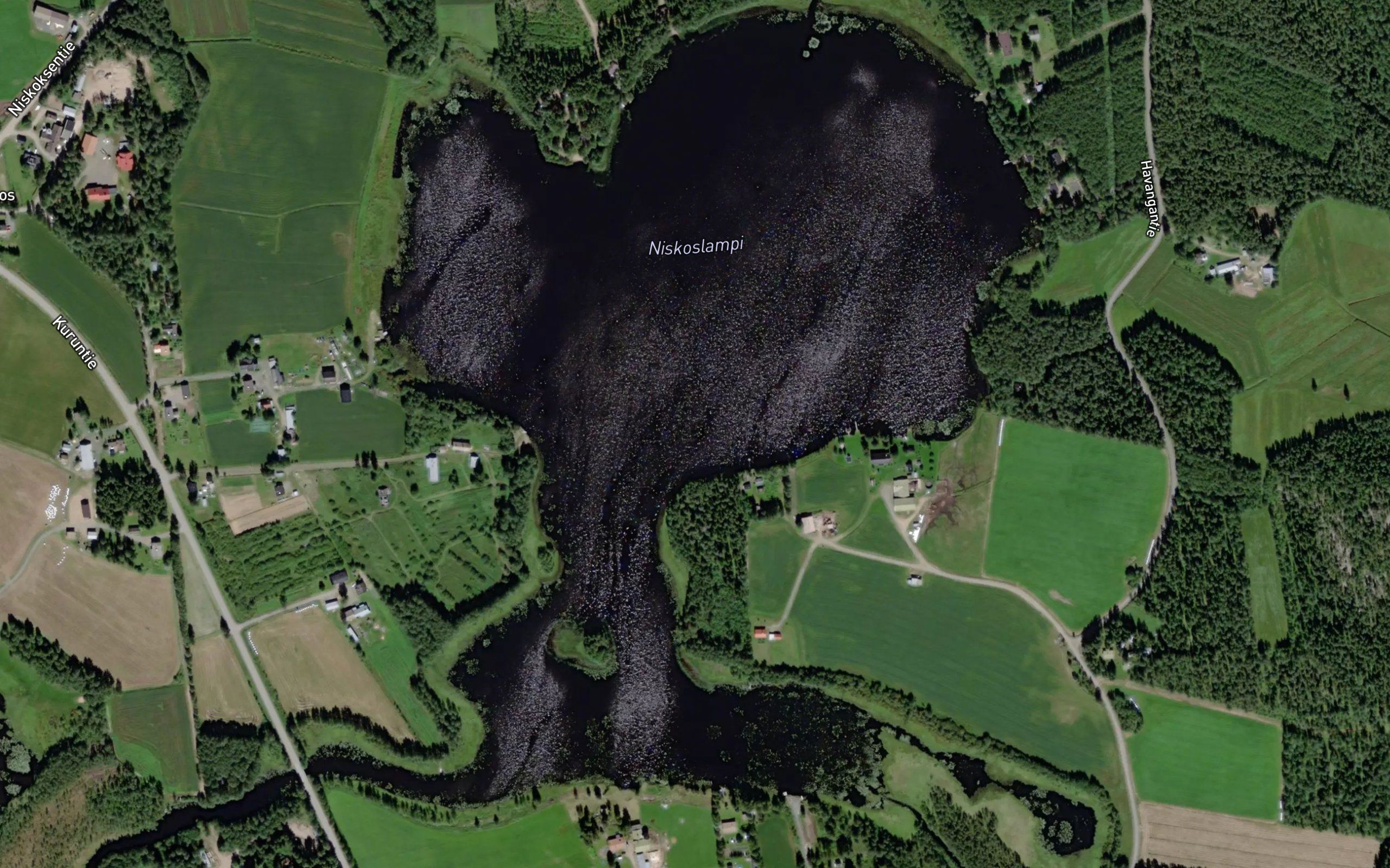 Niskoslampi