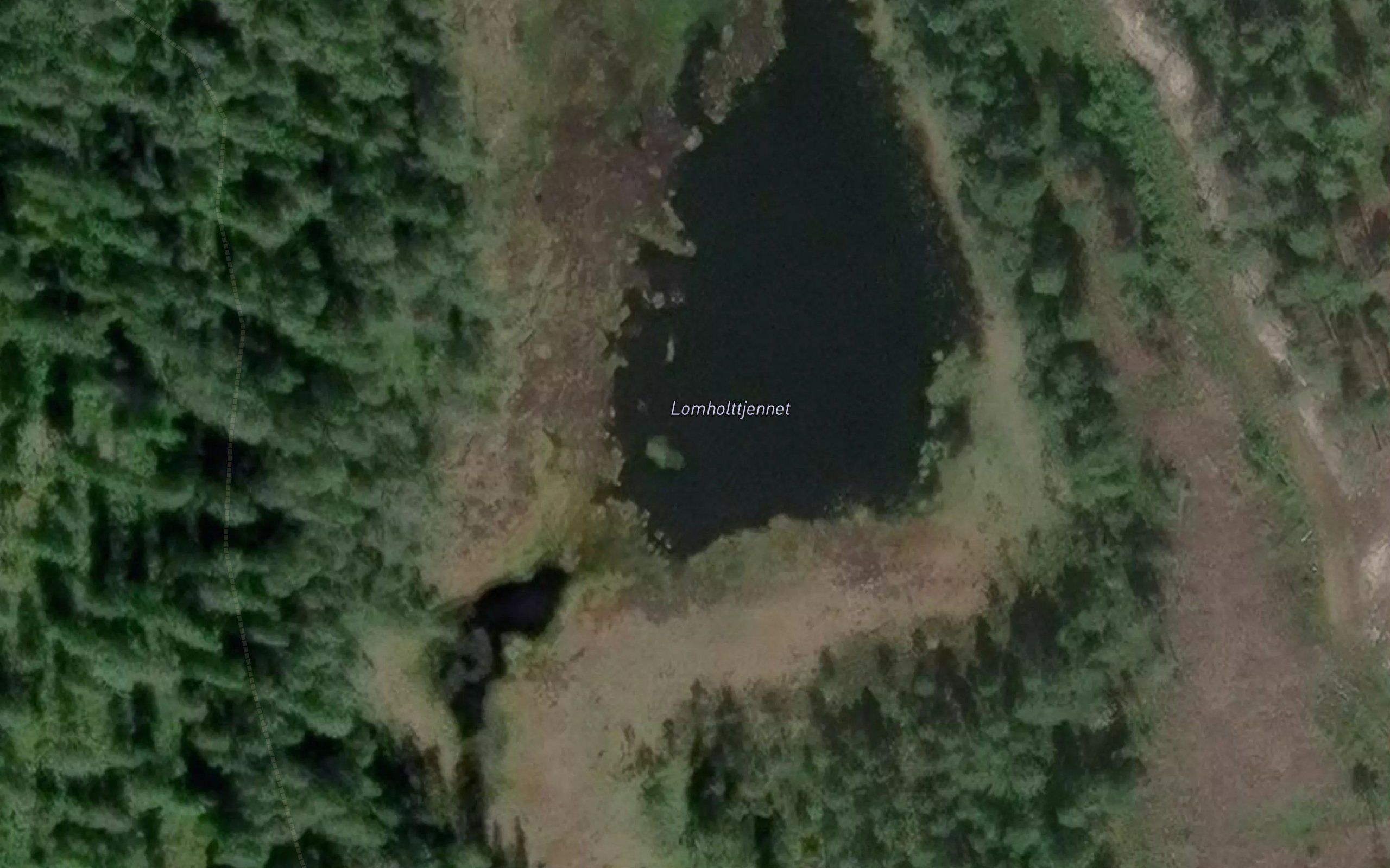 Lomholttjennet