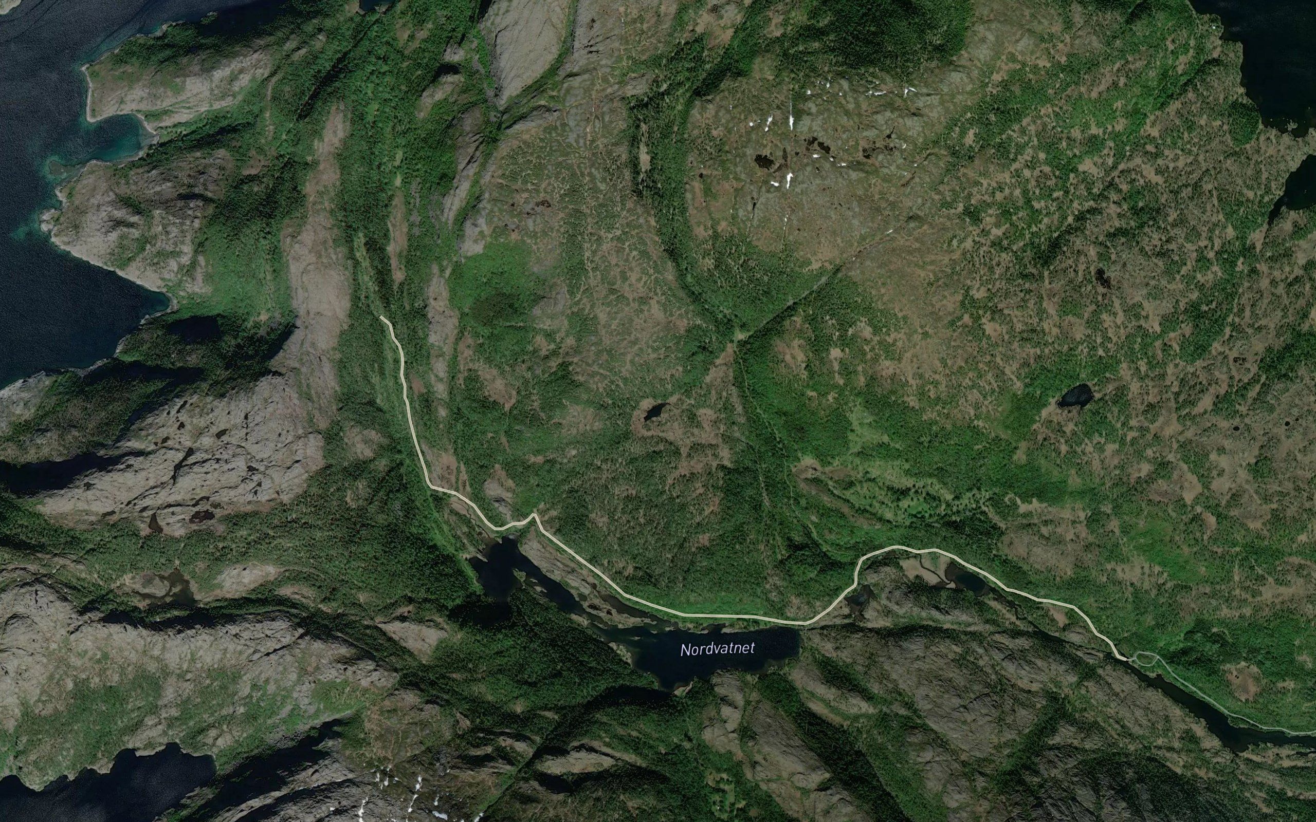 Svarttjorna