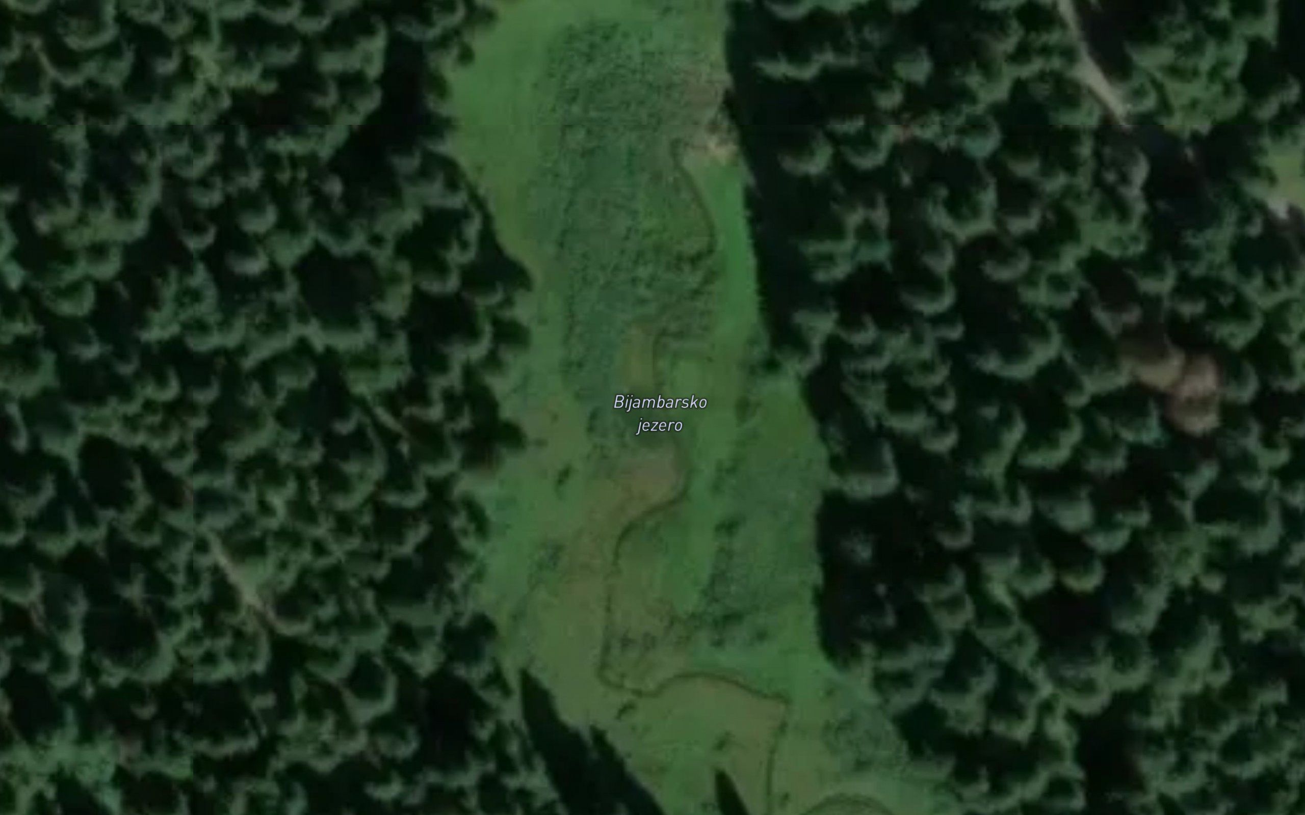 Bjelila