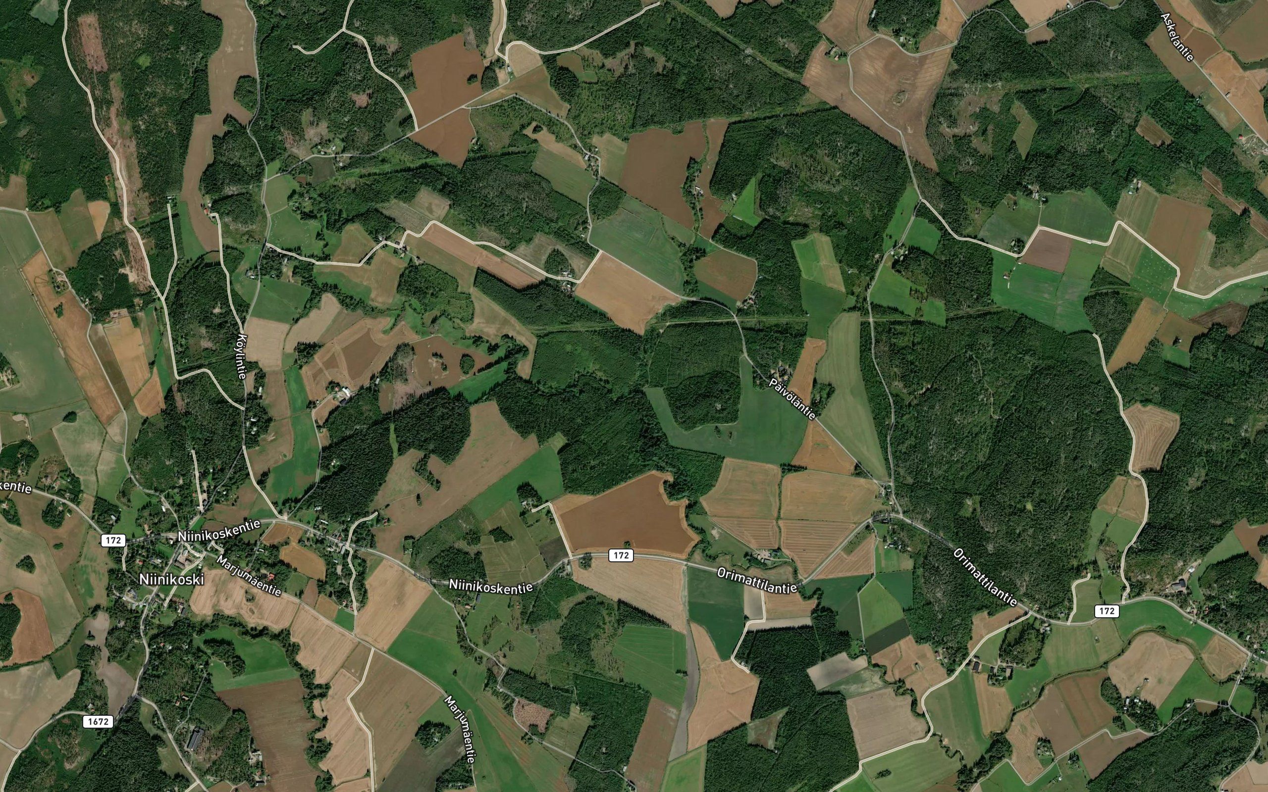Koylinoja