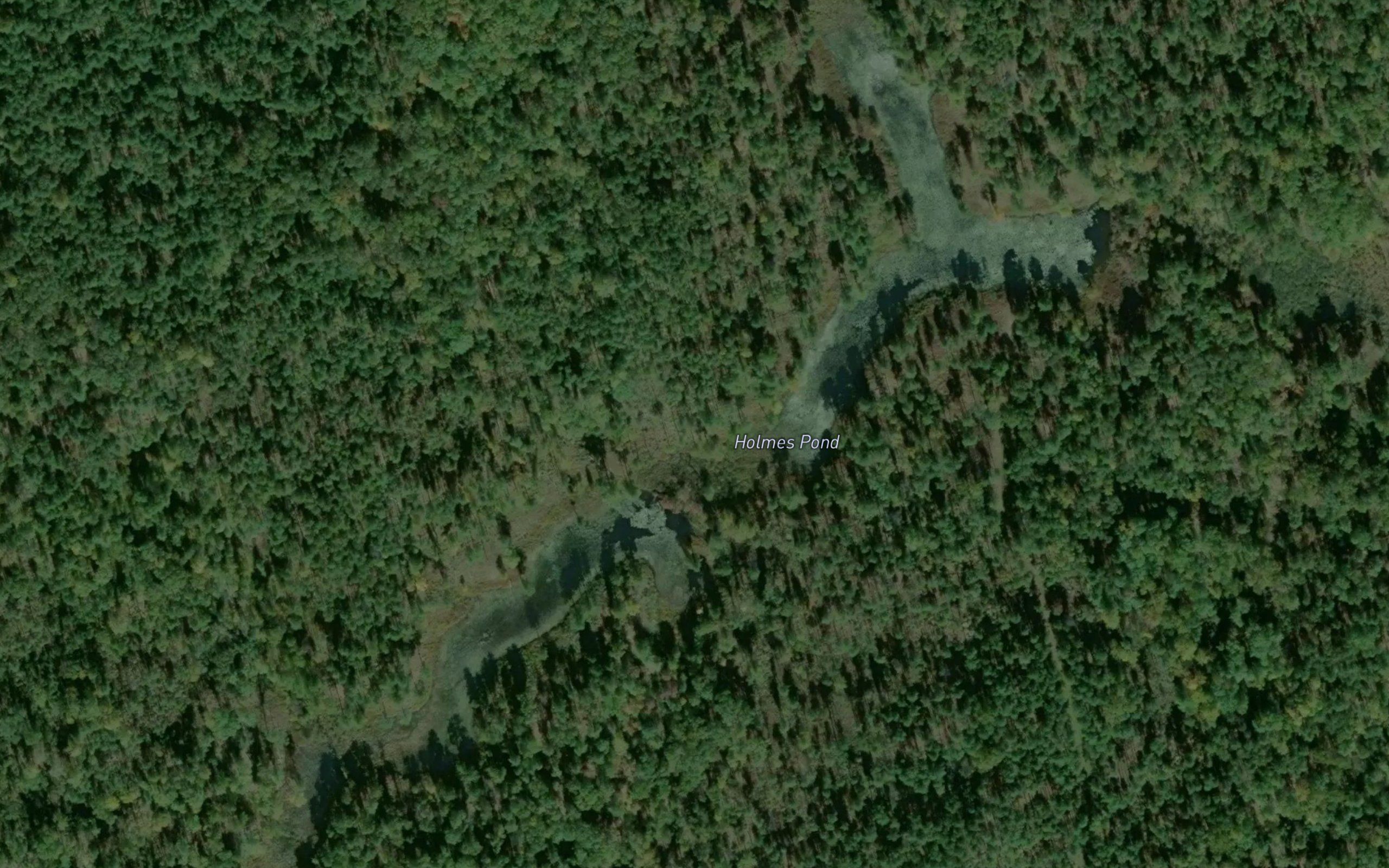 Holmes Pond
