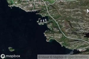 Bussevika
