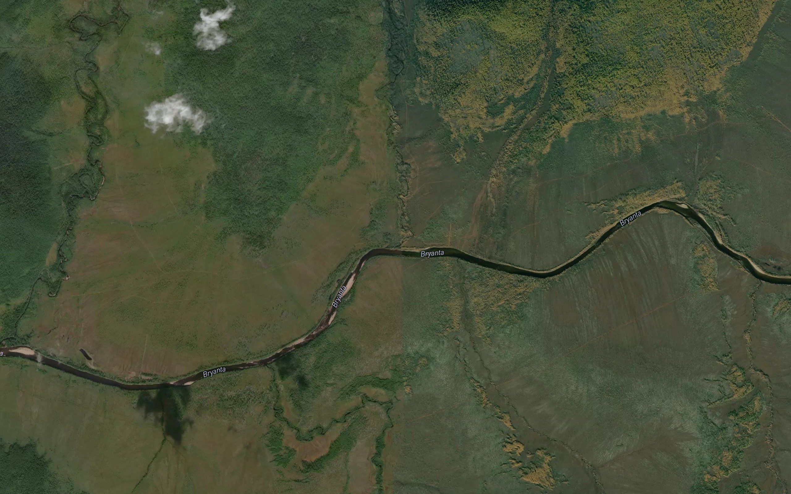 Khakuli