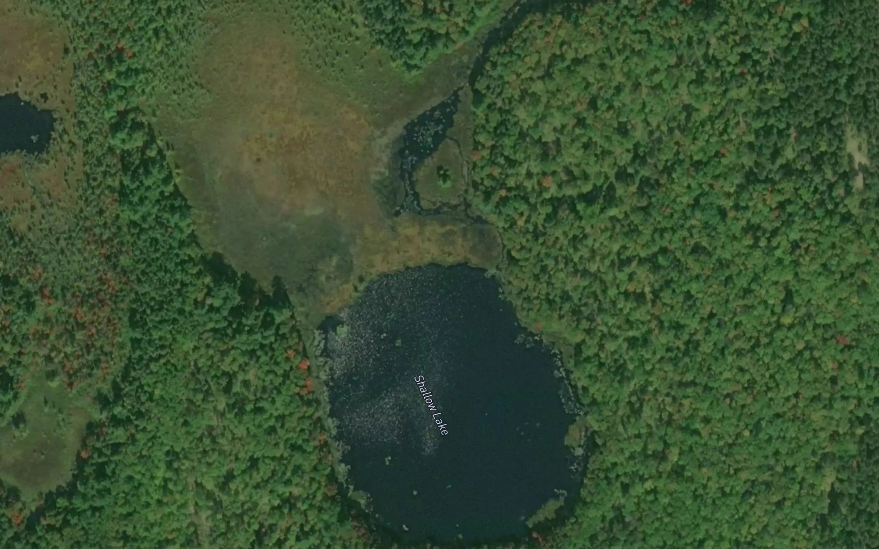Satellite map of the Shallow Lake