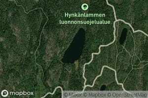 Hynkaenlampi
