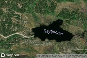 Roytjornet
