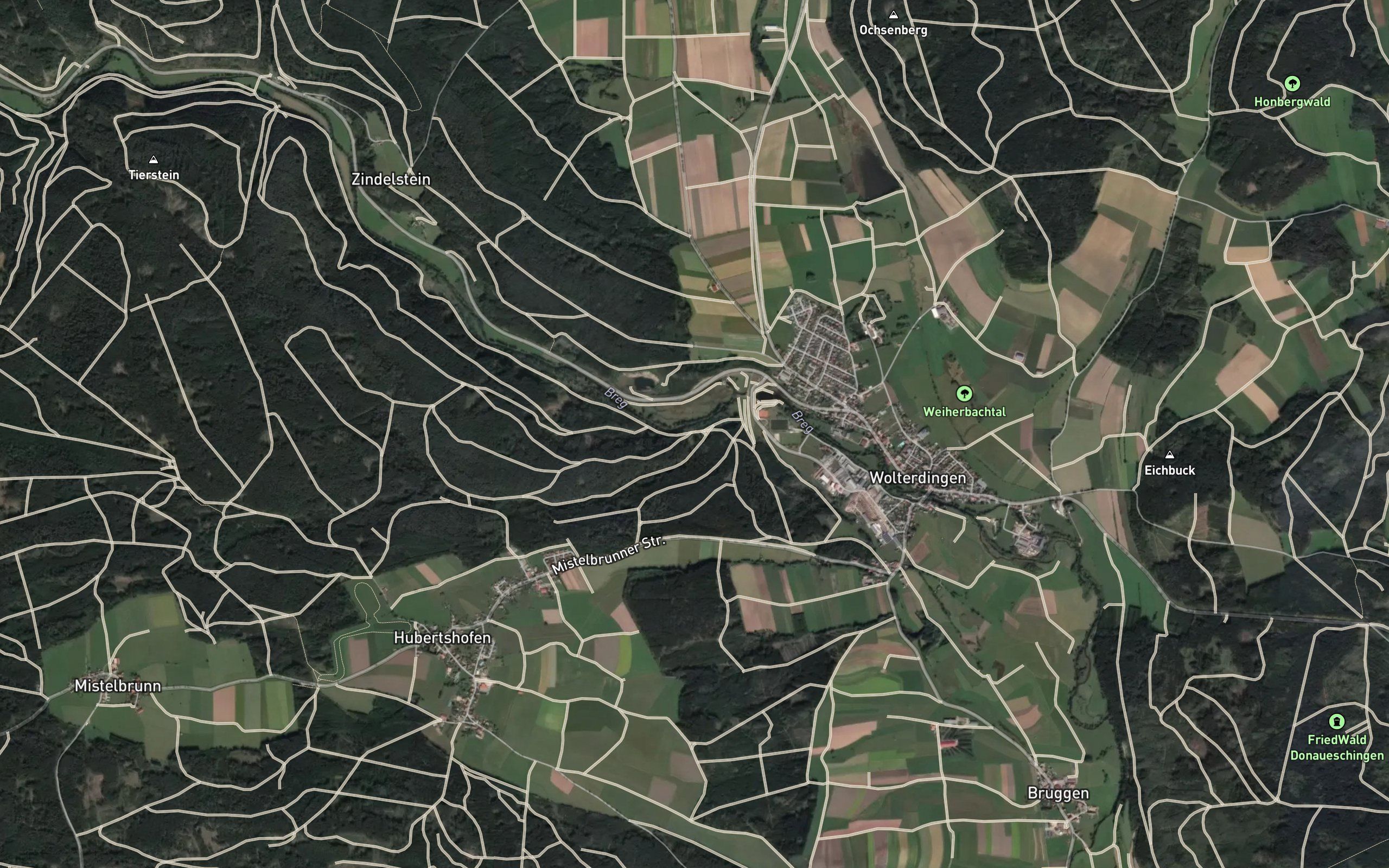 Reichenbachle