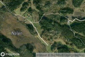 Nalen