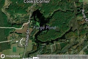 Forge Pond