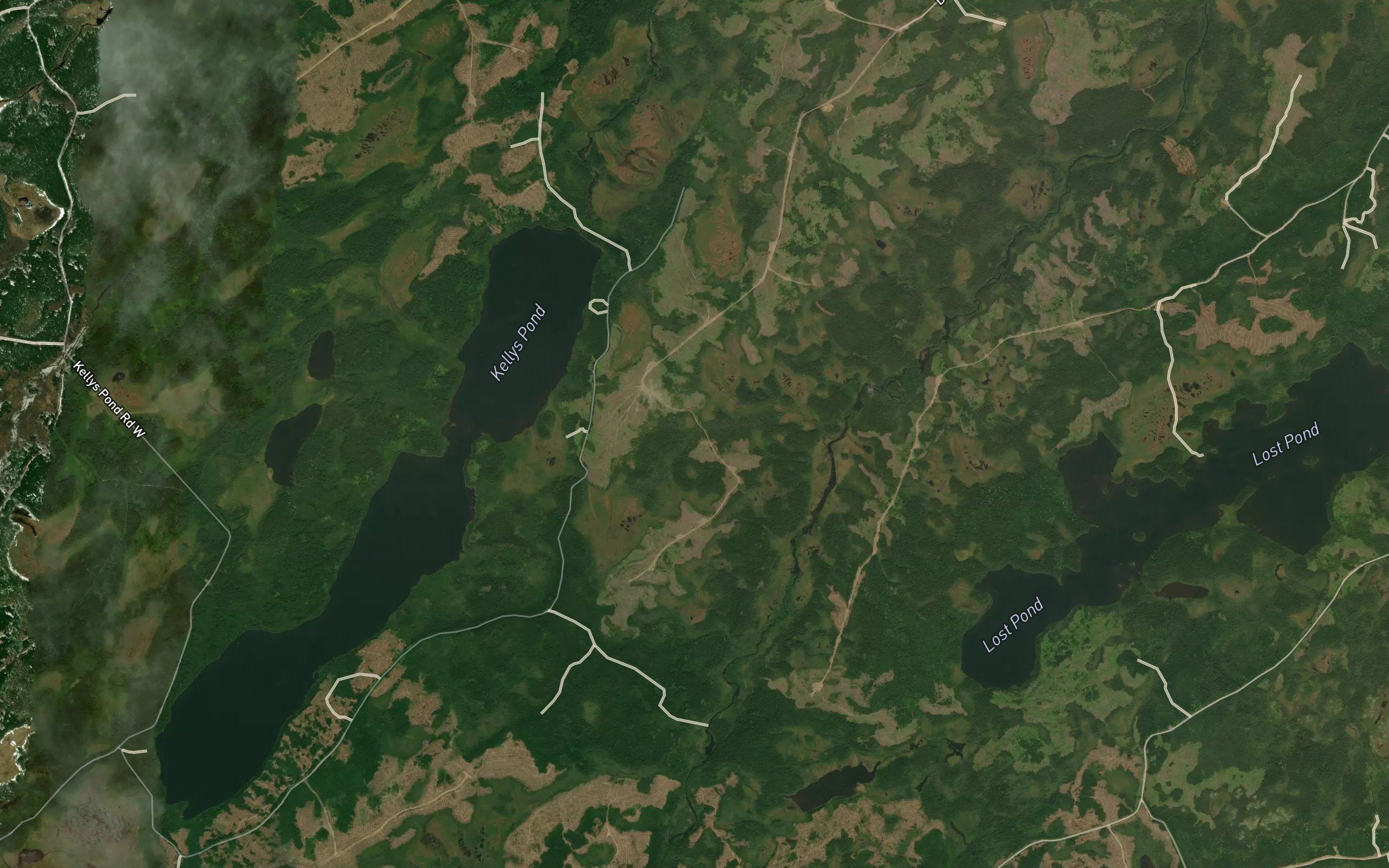 Kellys Pond