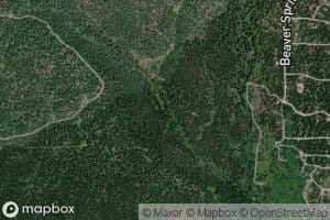 West Fork Hotel Creek