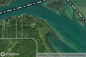 Root River