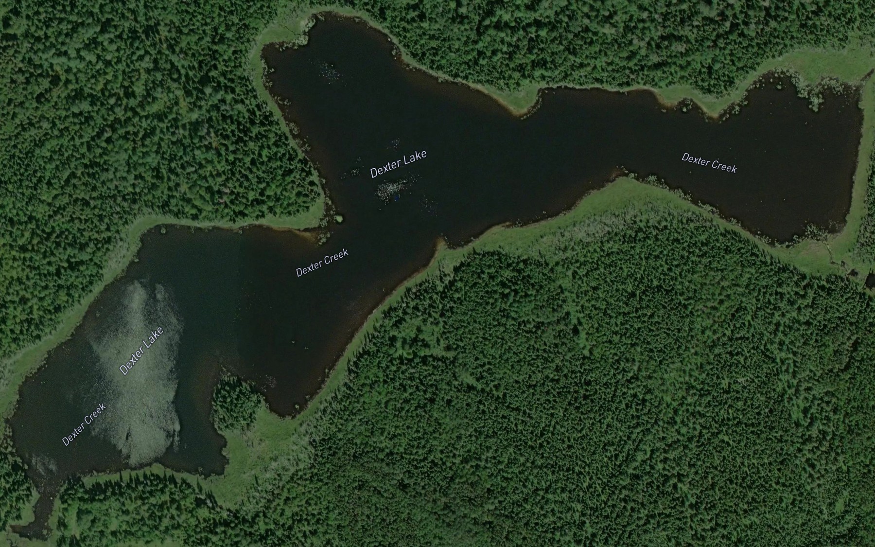 Satellite map of the Dexter Lake