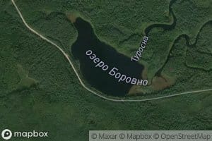 Ozero Borovno