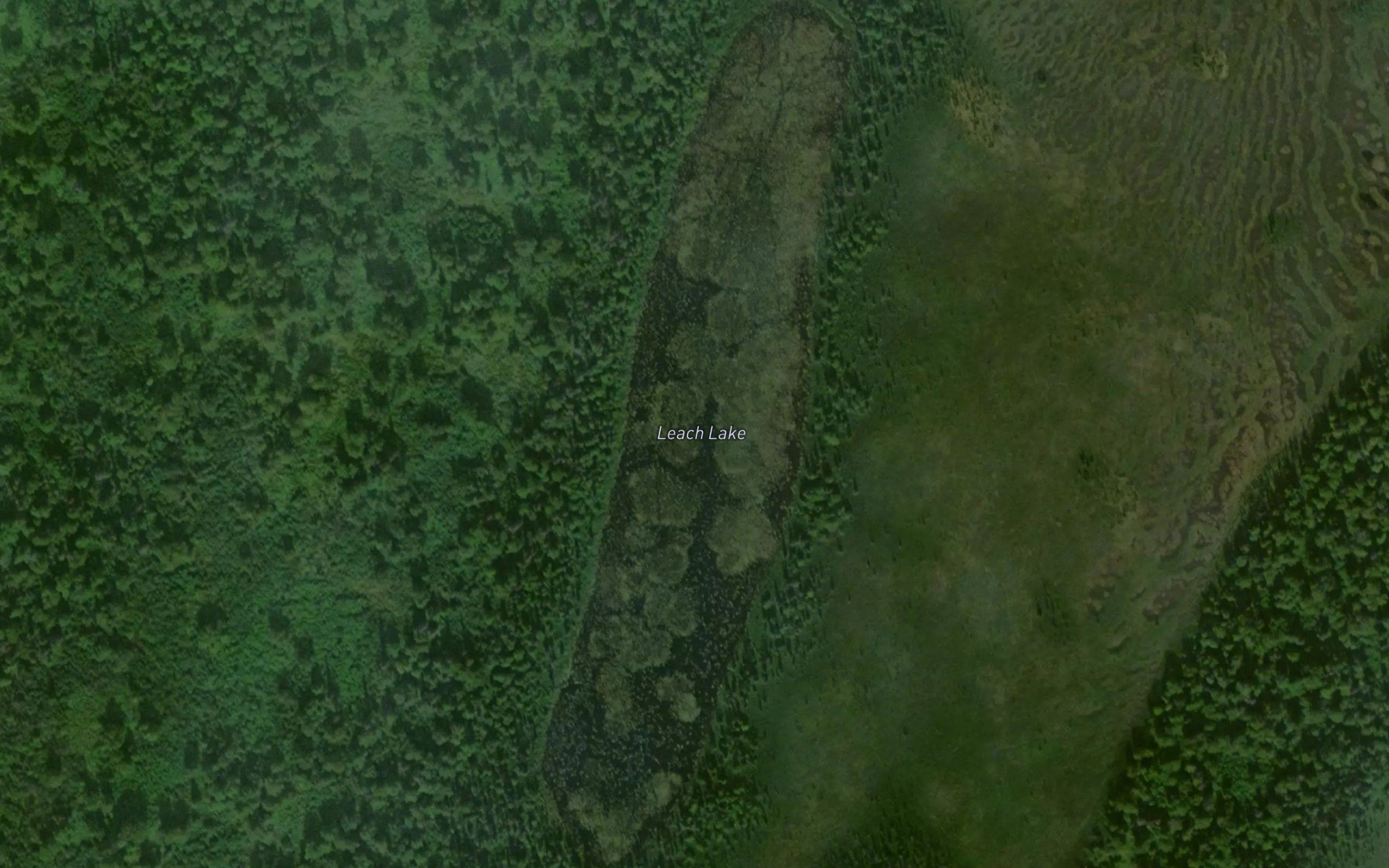 Leech Lake