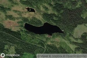 Ruktjernet