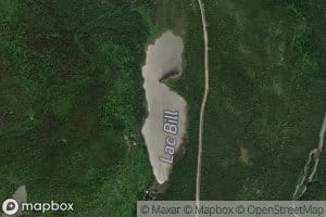 Lac Bill