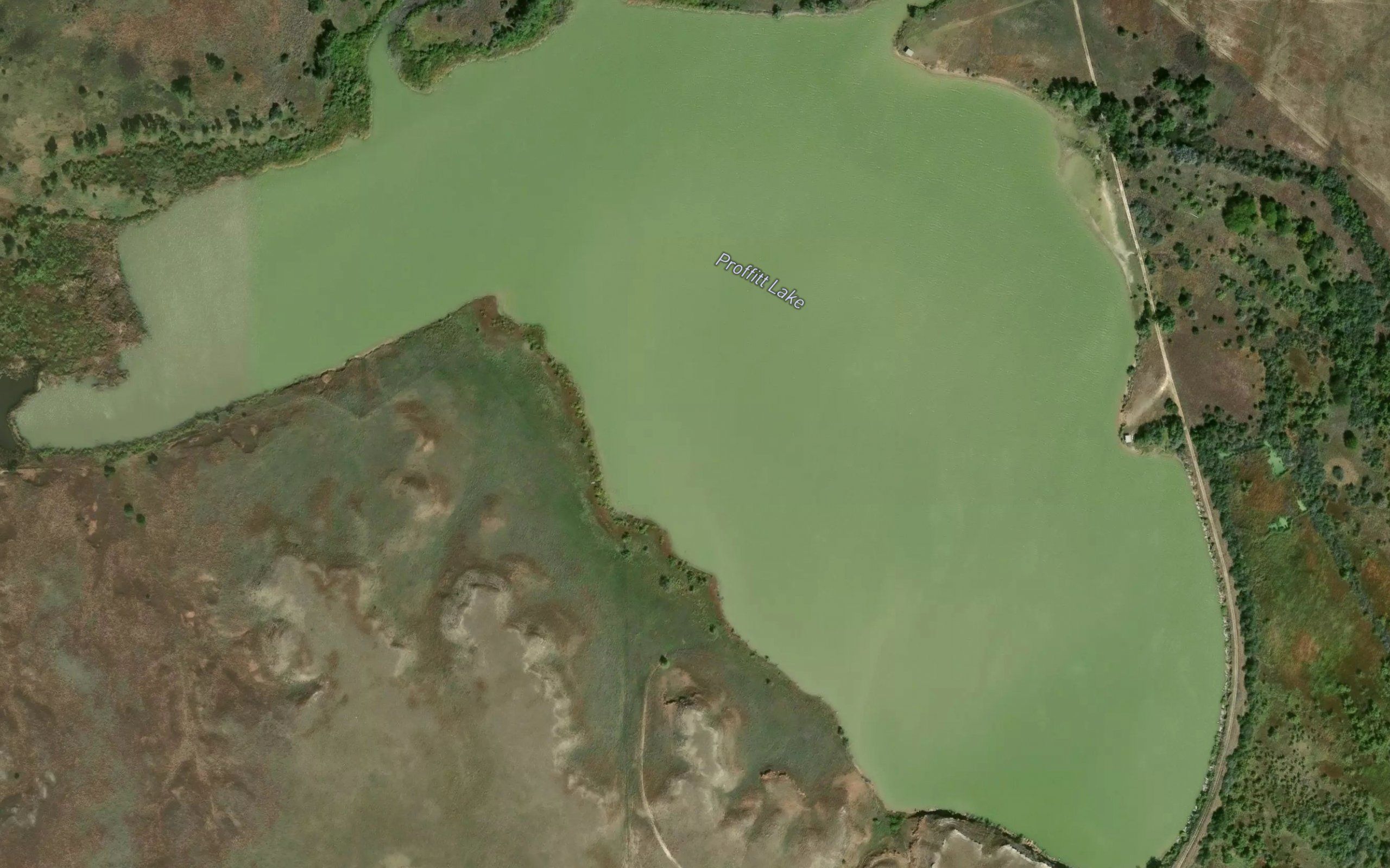 Proffitt Lake