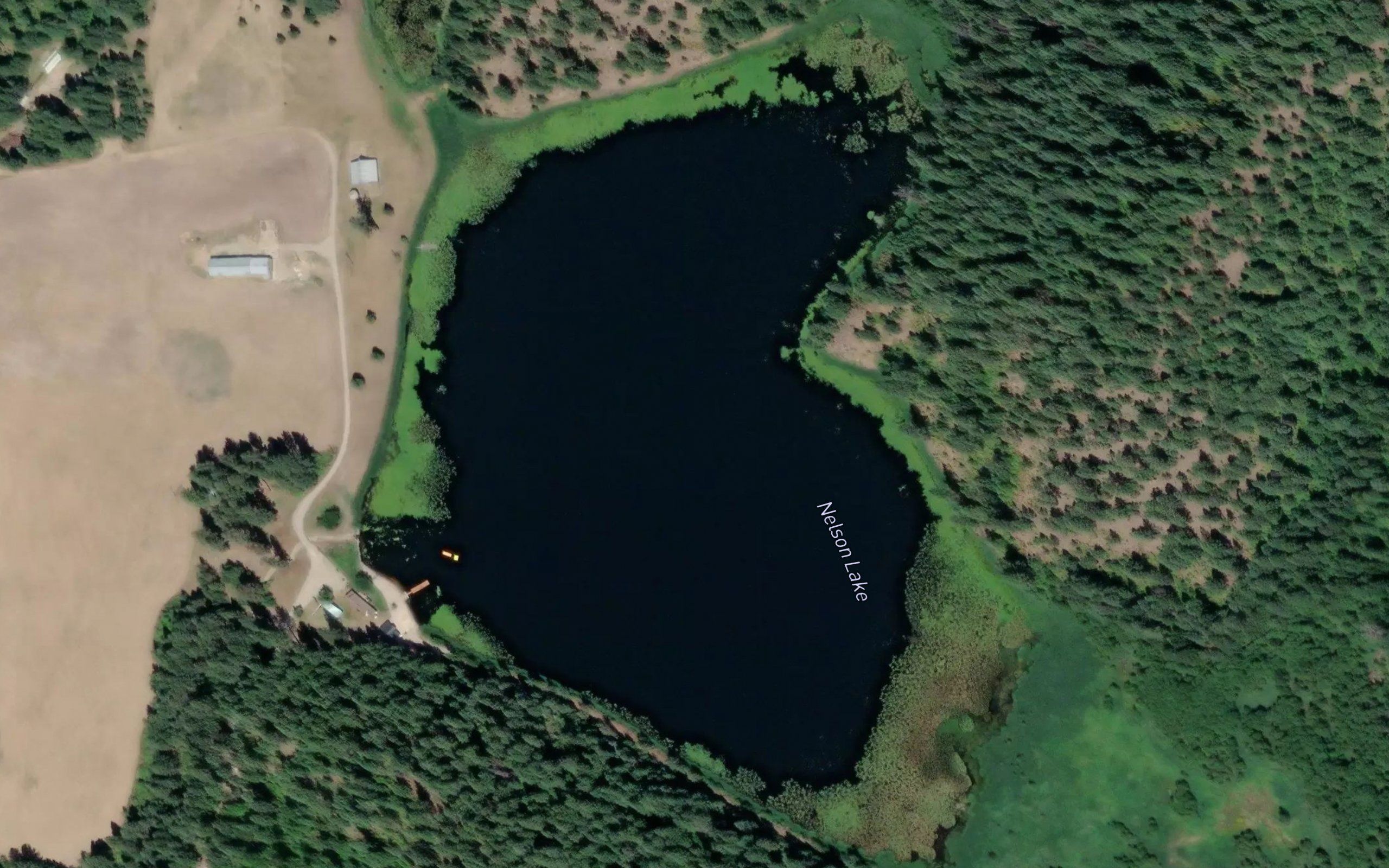 Nelson Lake