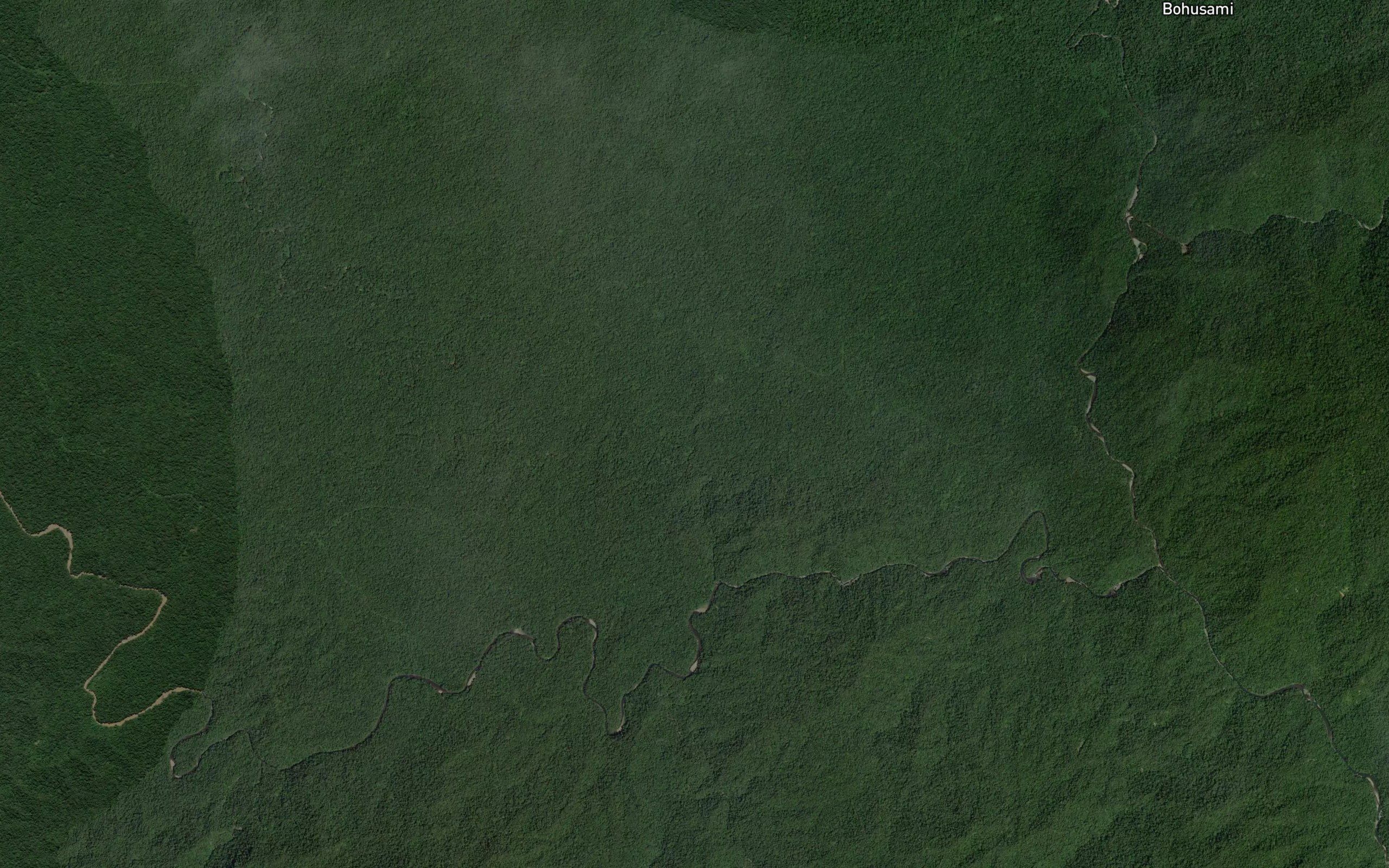 Dutula Ular