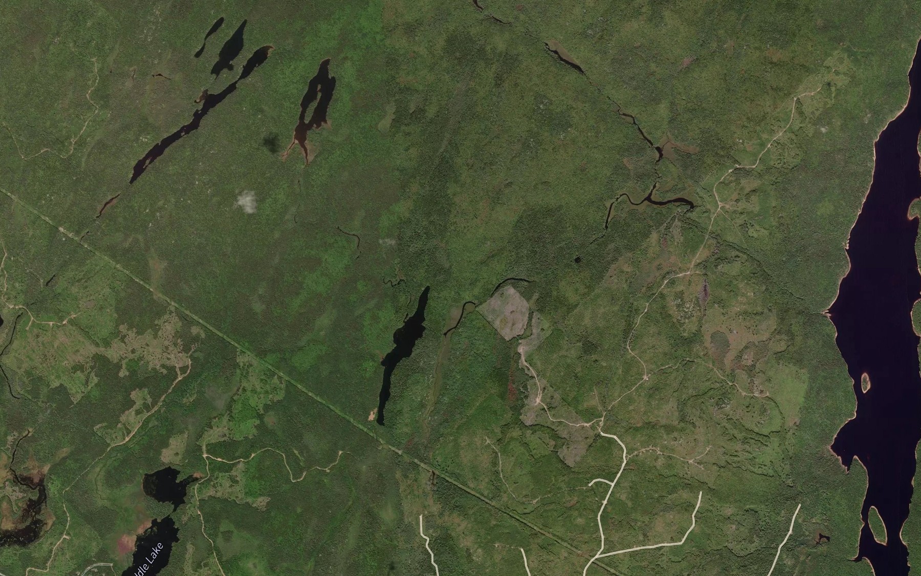Satellite map of the Green Lake Brook