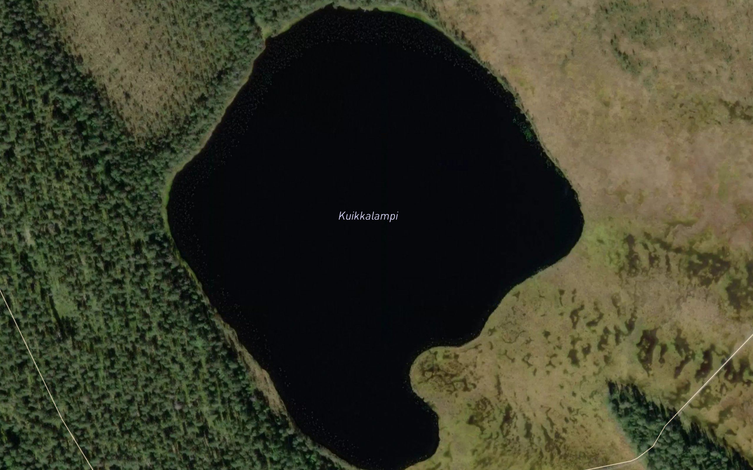 Kuikkalampi