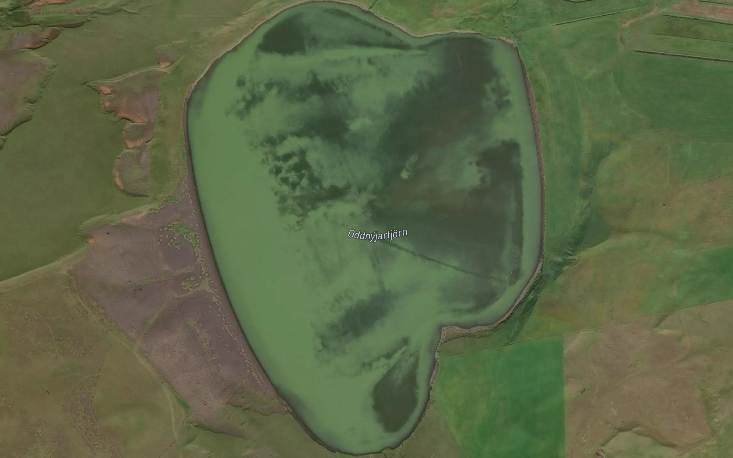 Oddnyjartjorn