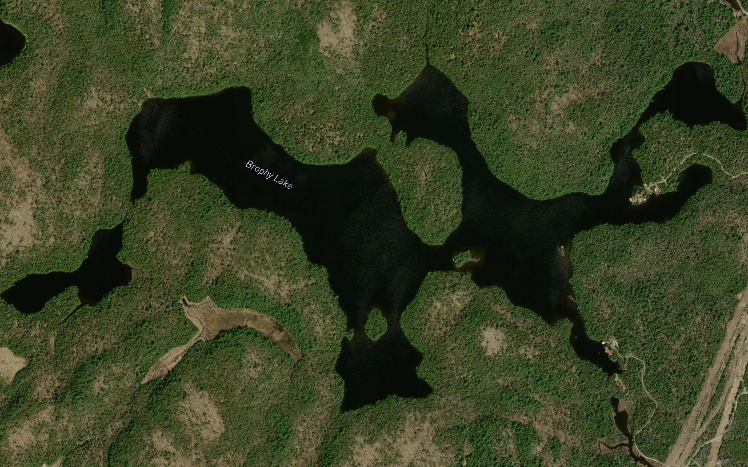 Brophy Lake