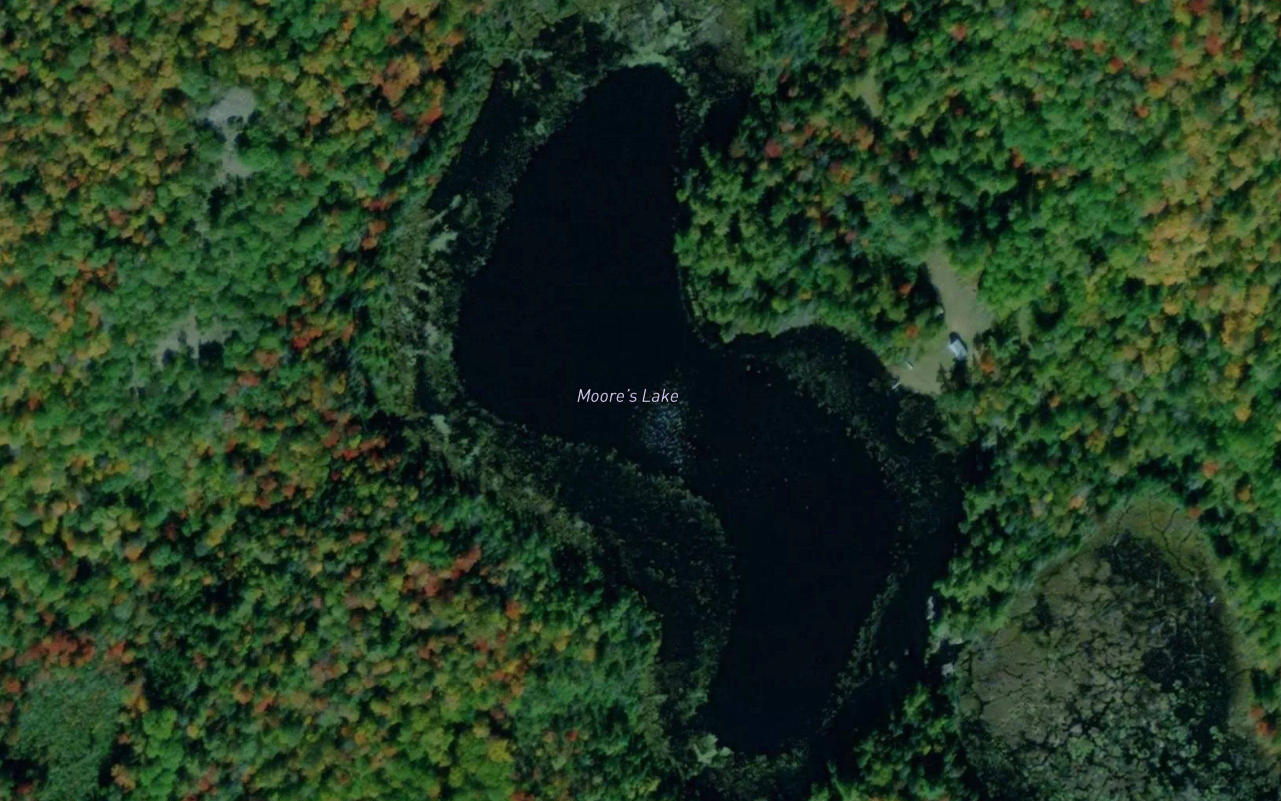 Moore's Lake