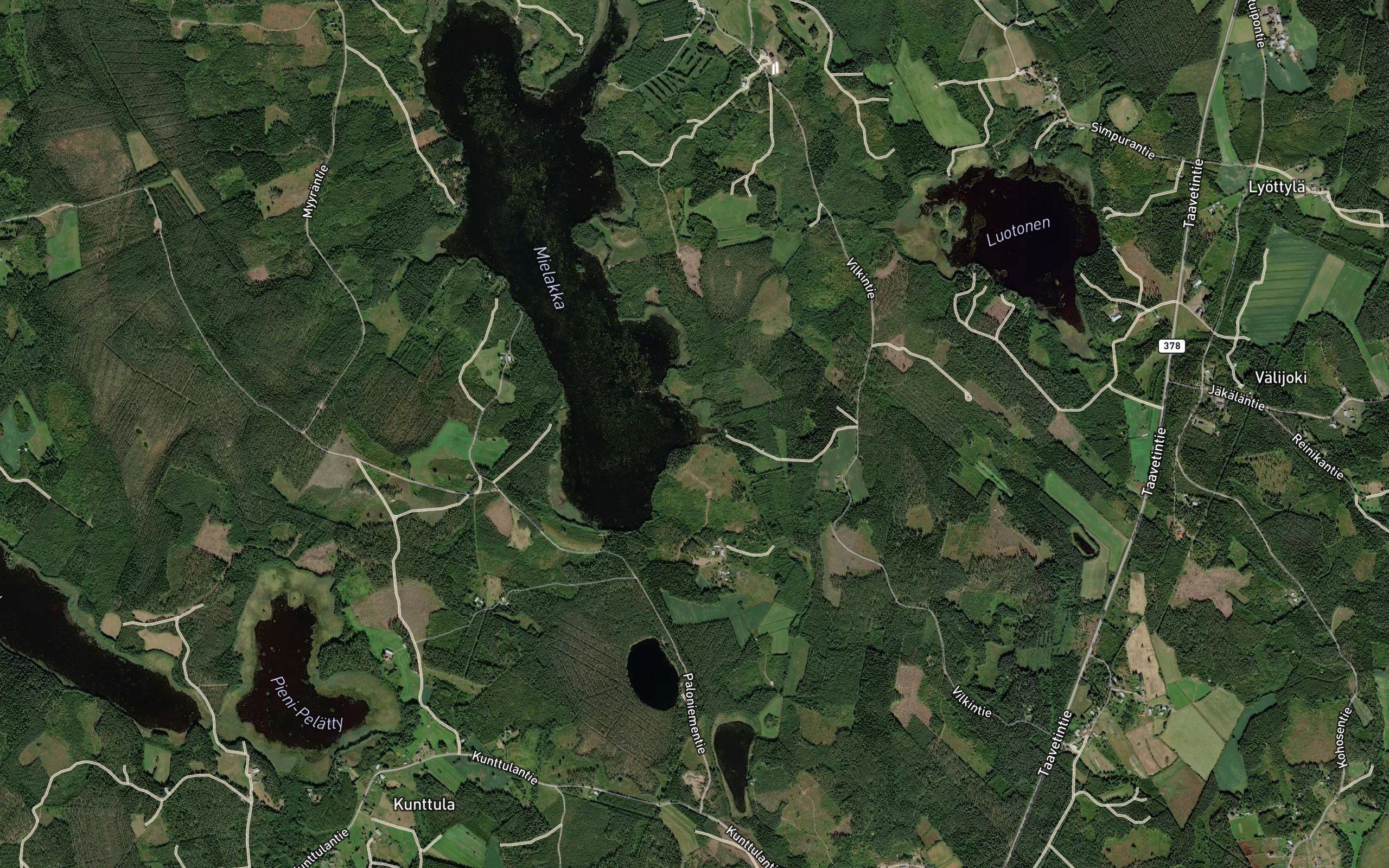 Lapialahti