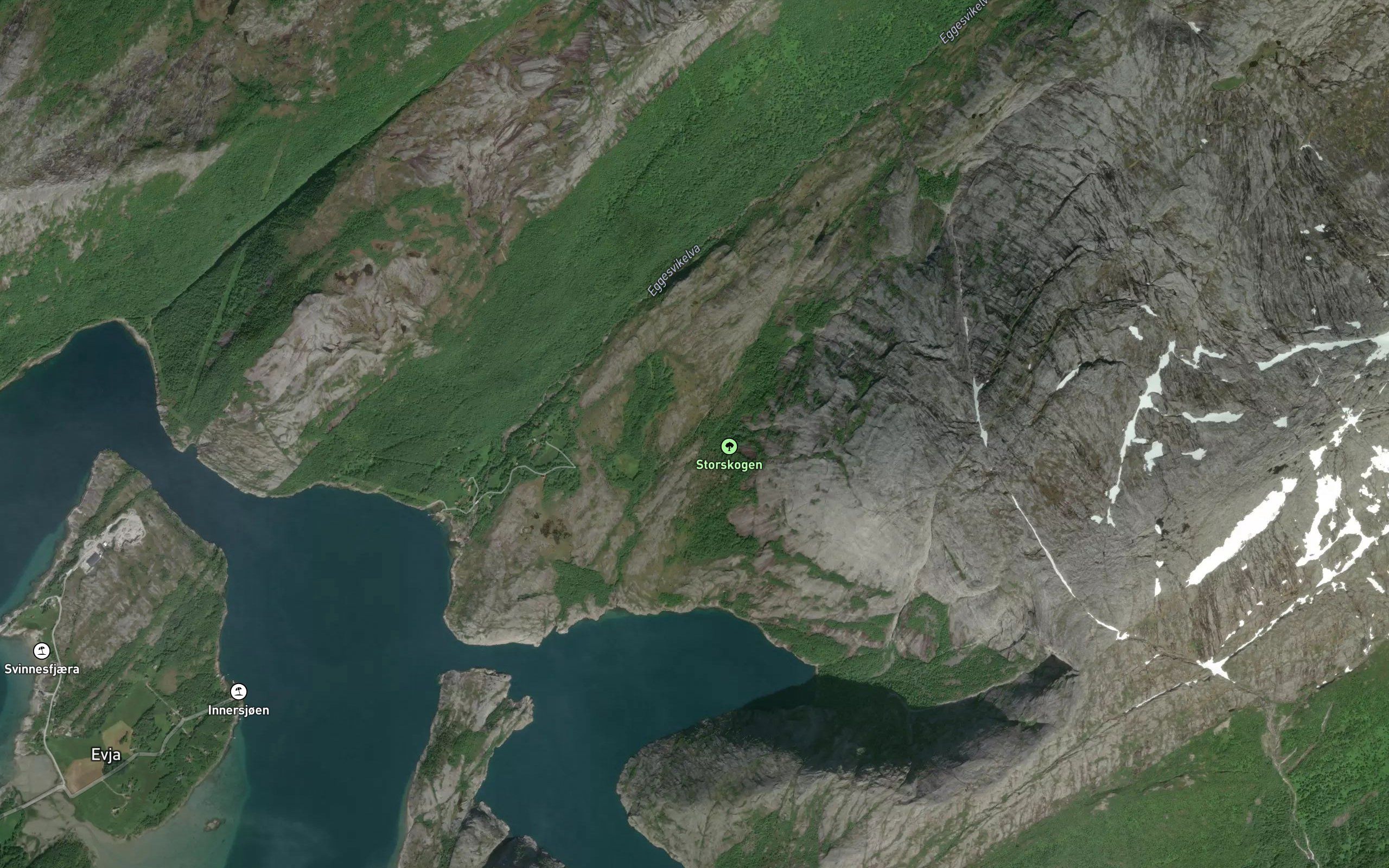 Fjellklovelva