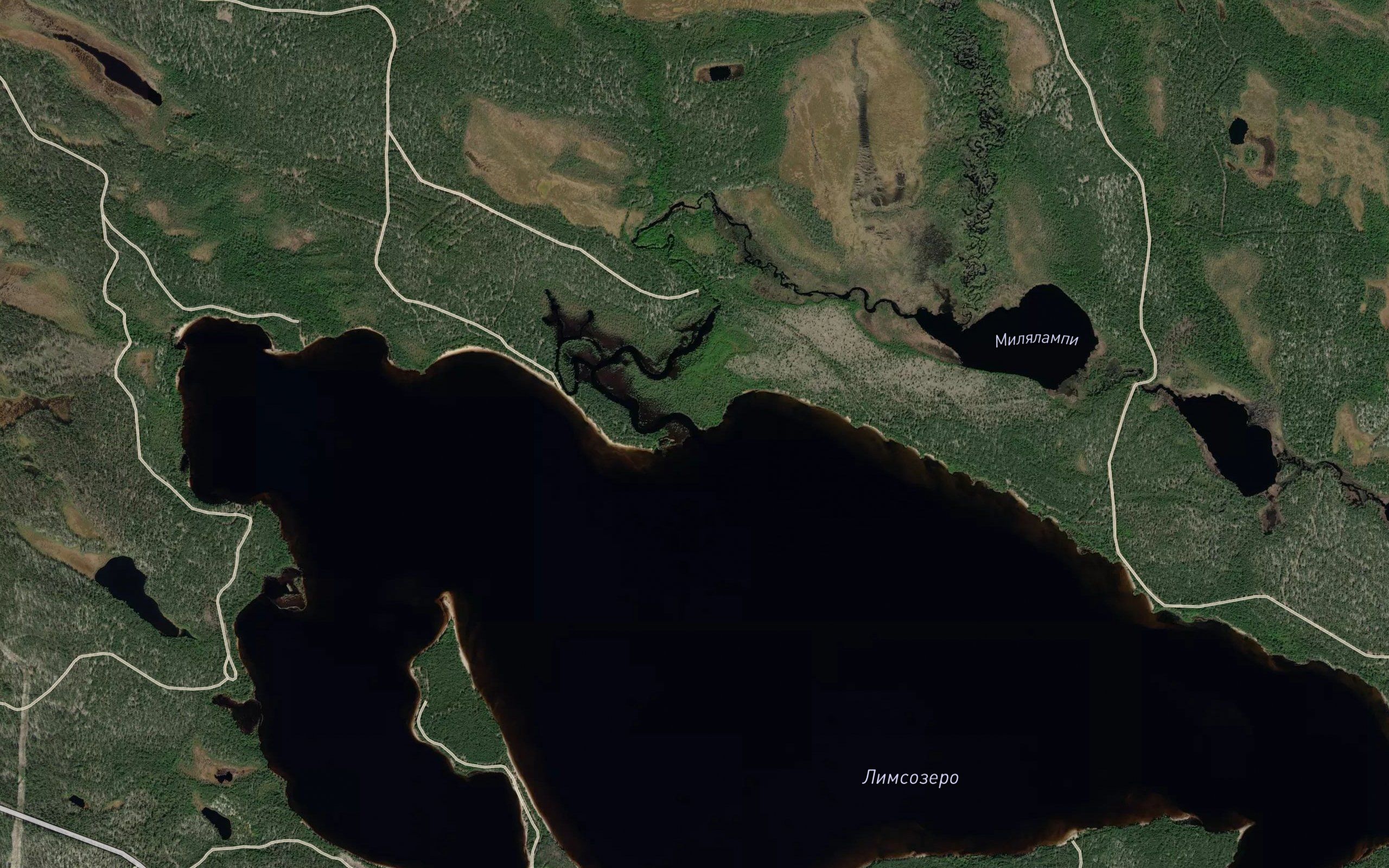 Ketanoya