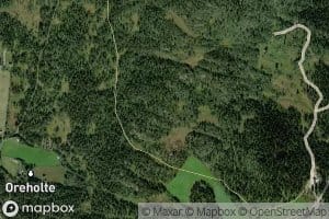 Lintjonn