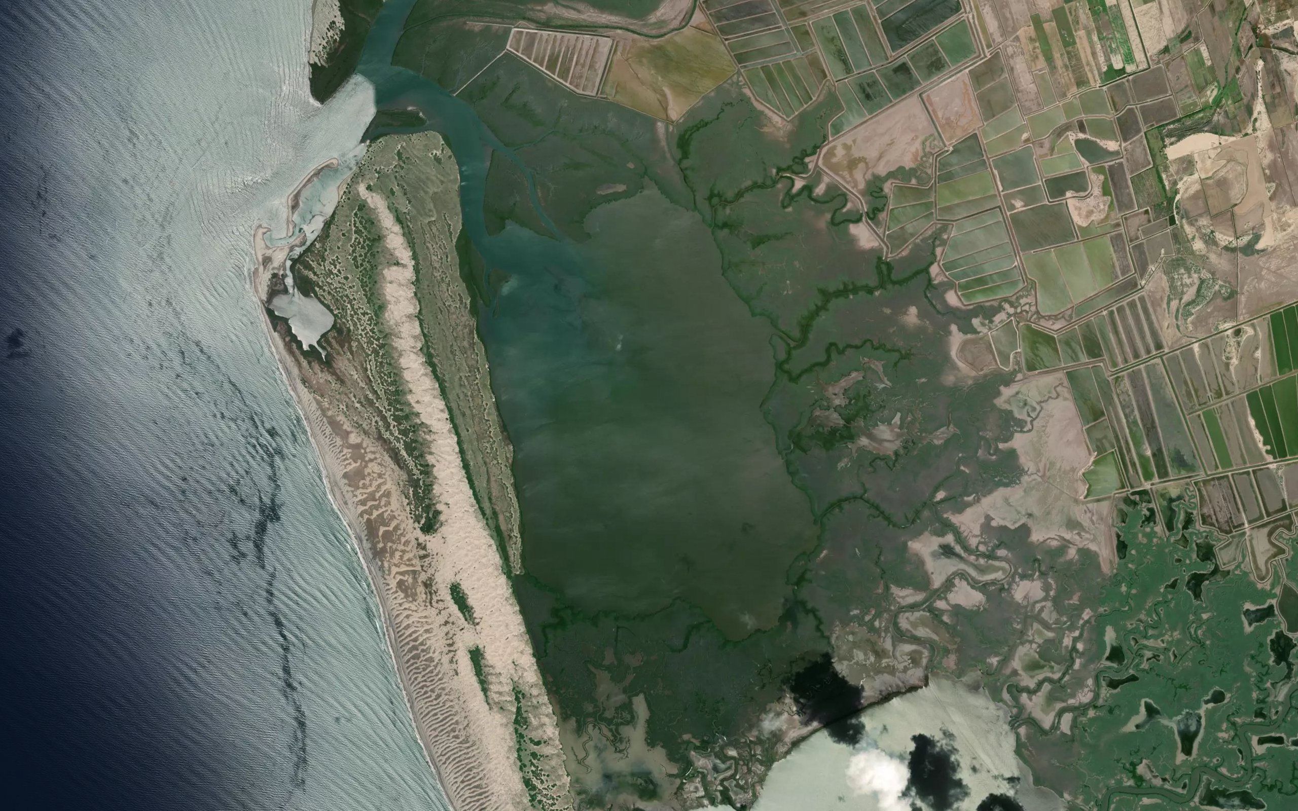 Bahia la Lechuguilla
