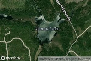 Dismal Lake