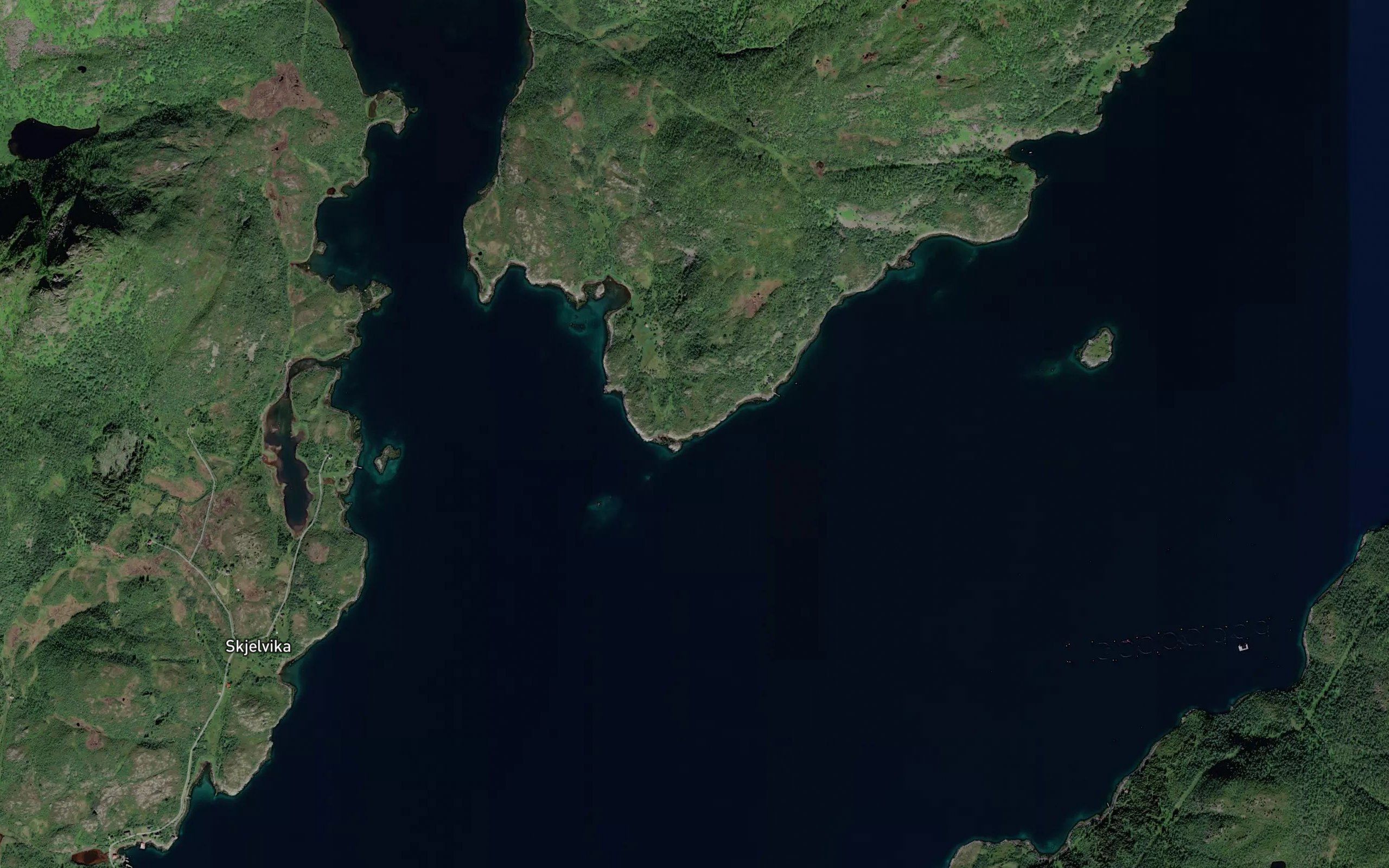 Batvika
