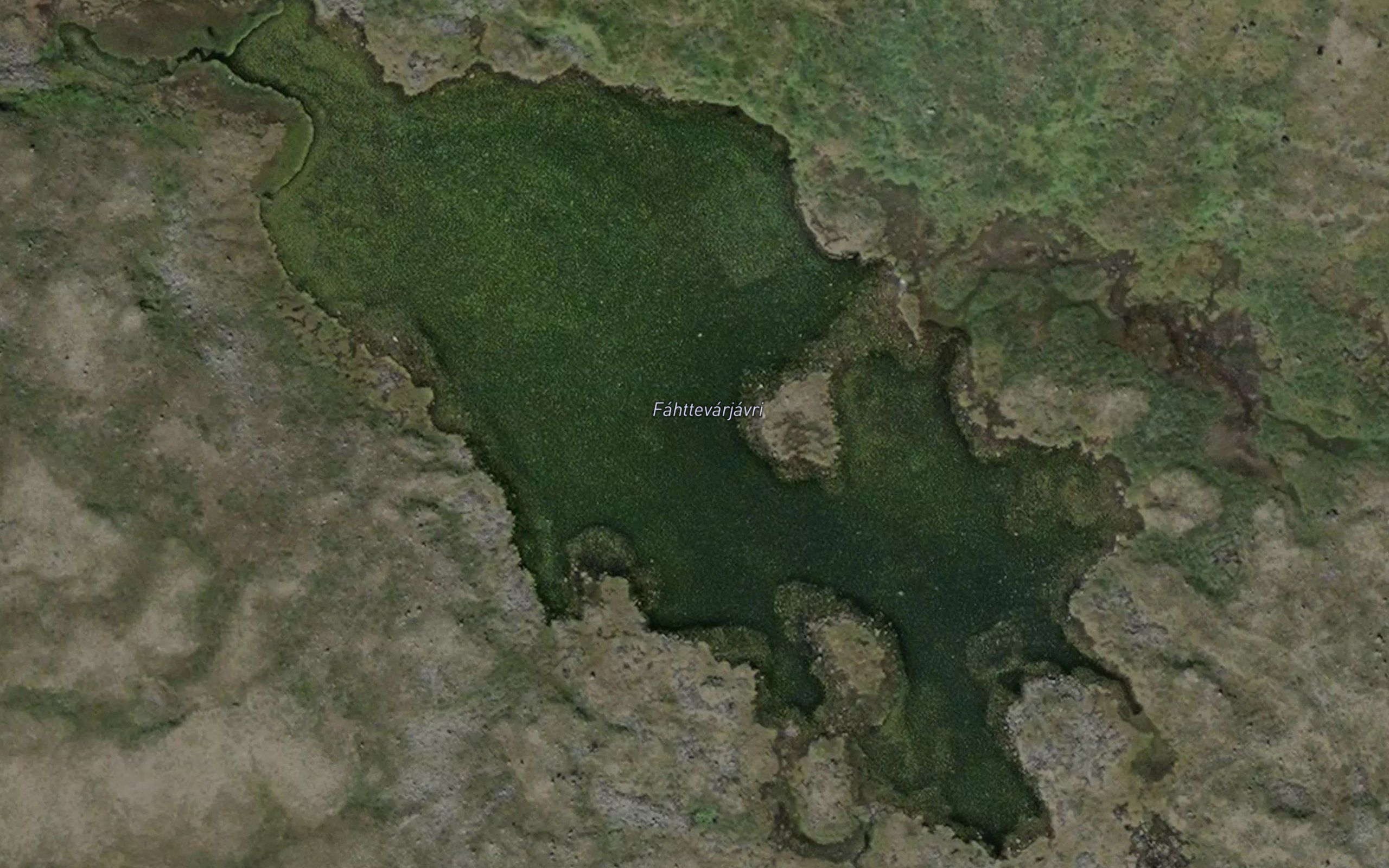 Fattevarjavri