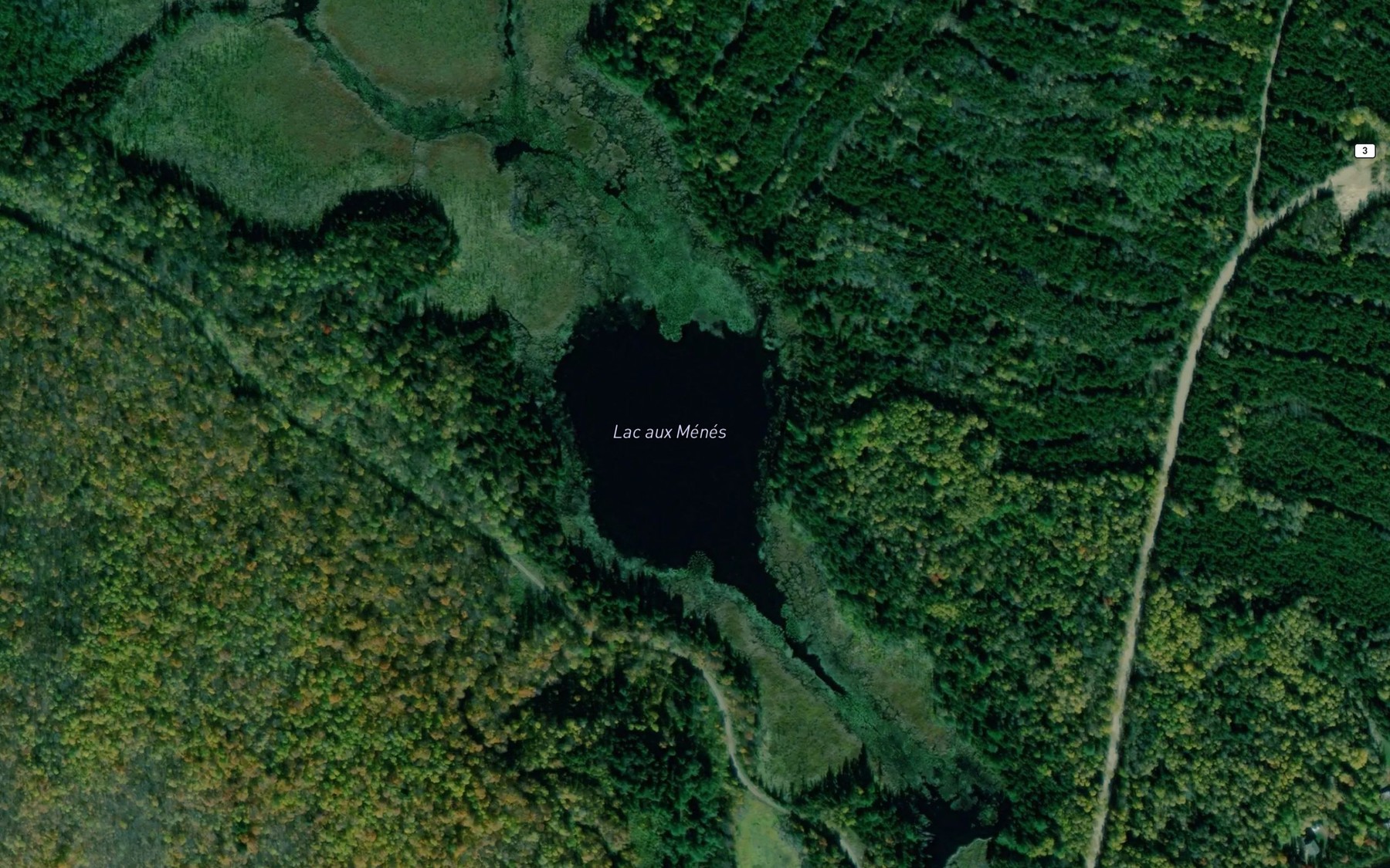 Satellite map of the Lac aux Menes
