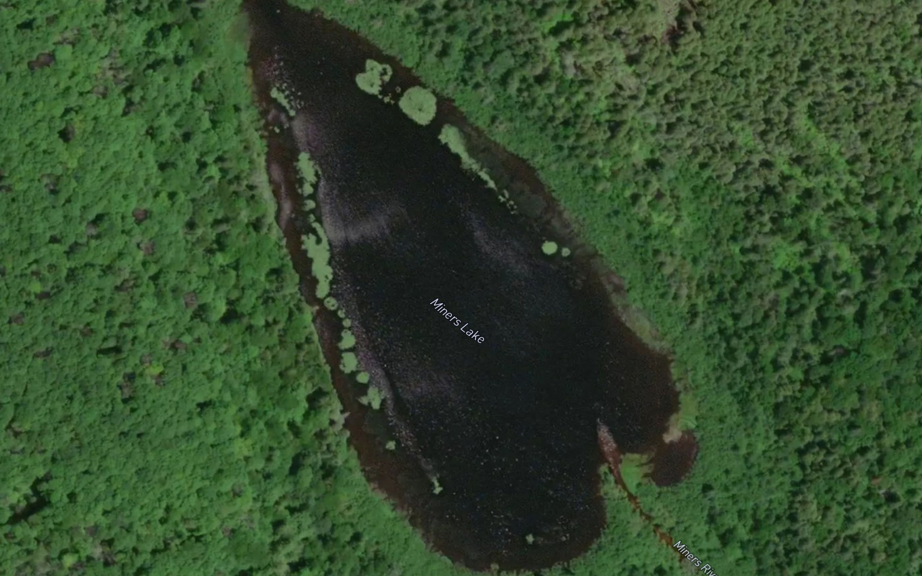 Satellite map of the Miners Lake