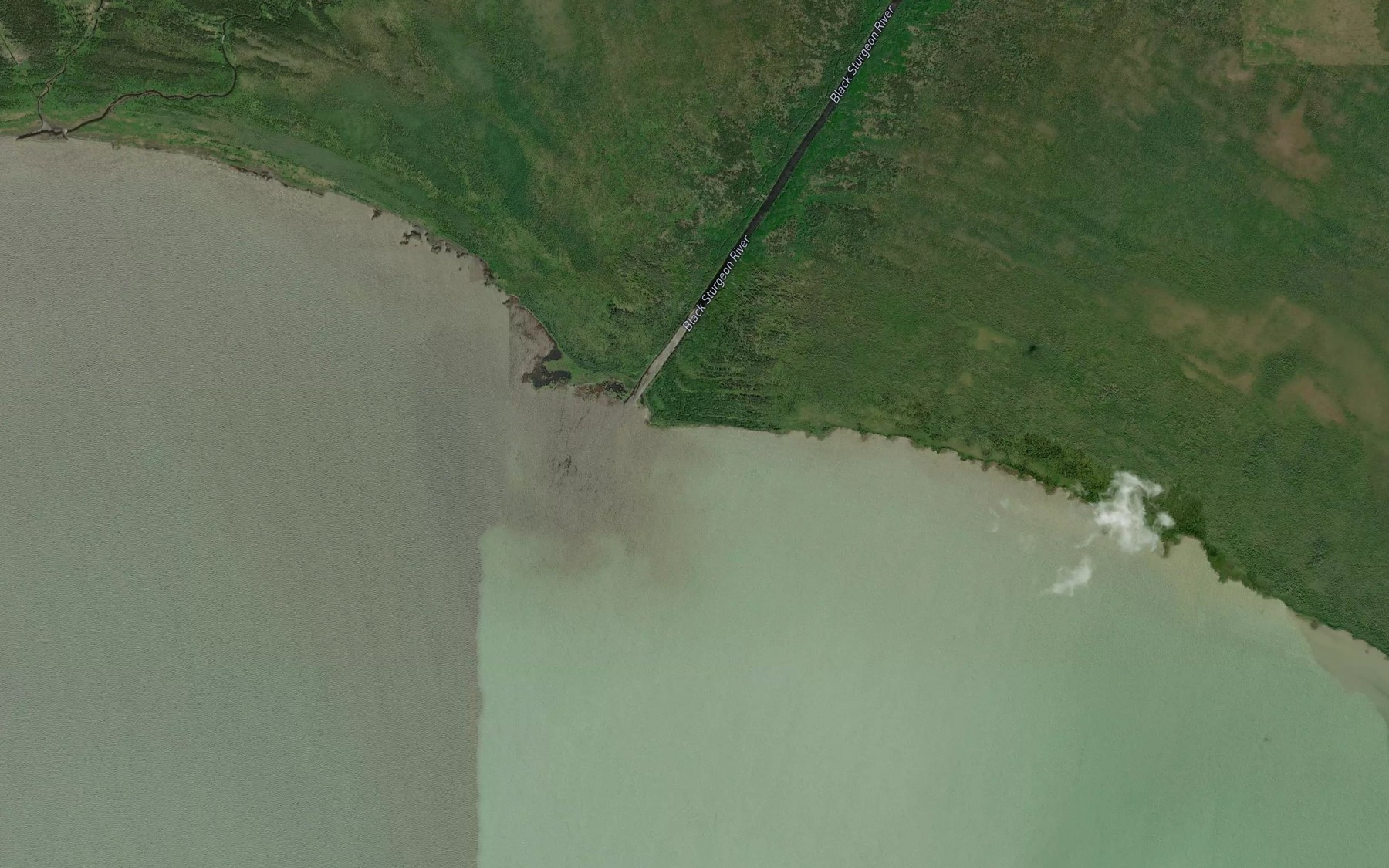 Satellite map of the Black Sturgeon River
