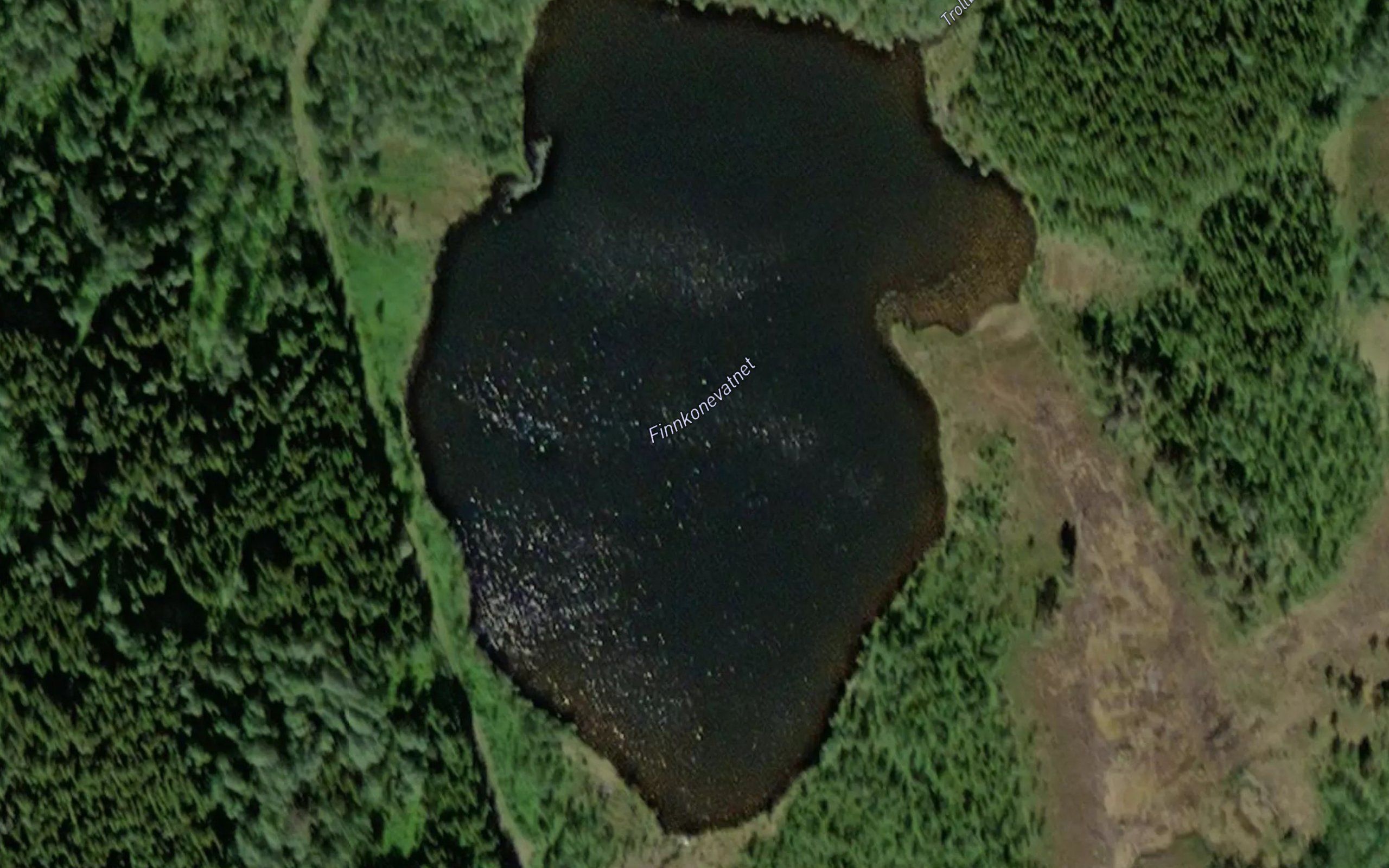 Finnkonevatnet