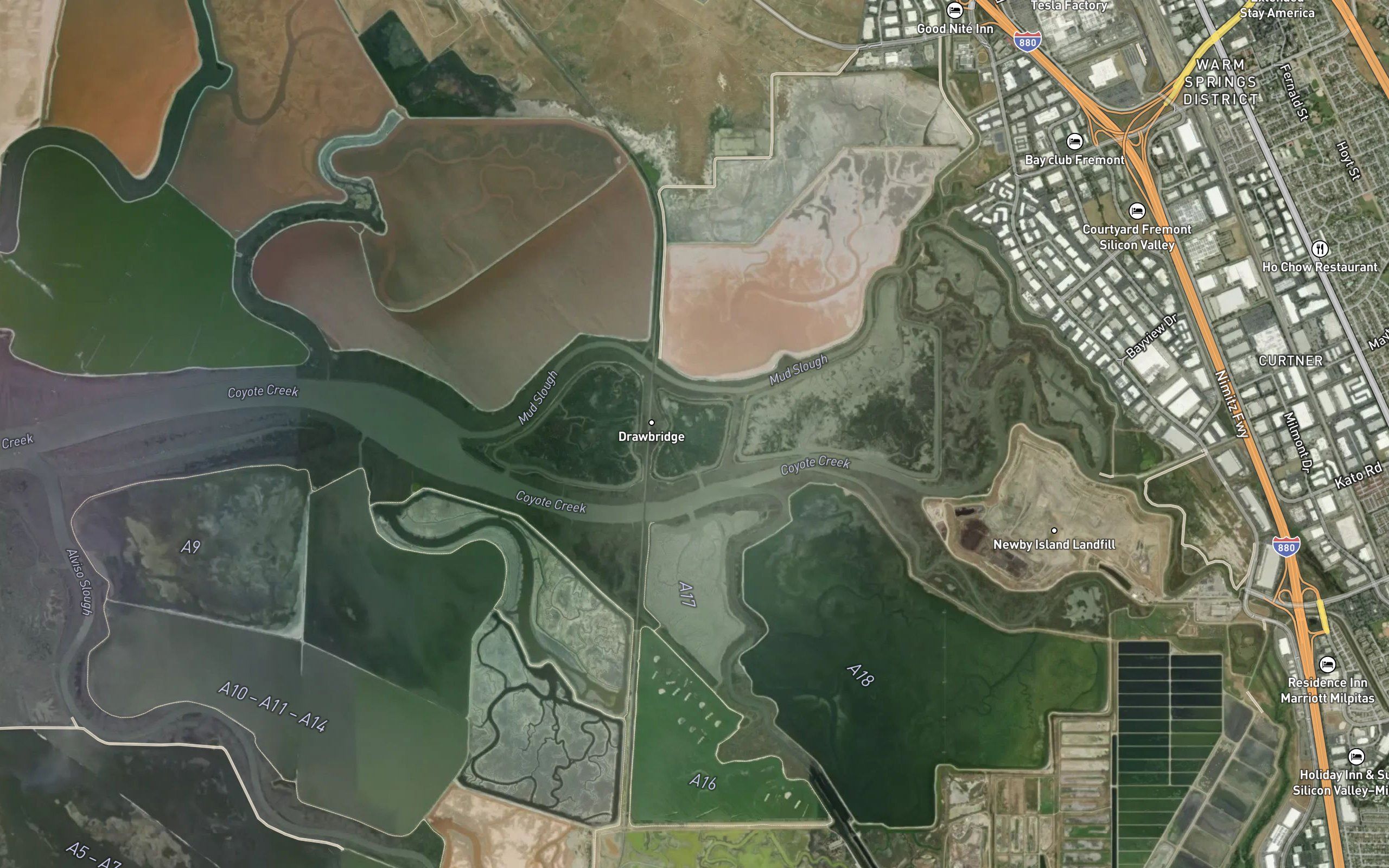 Salt Pond A20