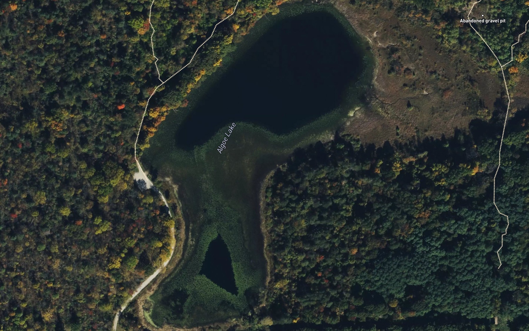 Satellite map of the Algoe Lake